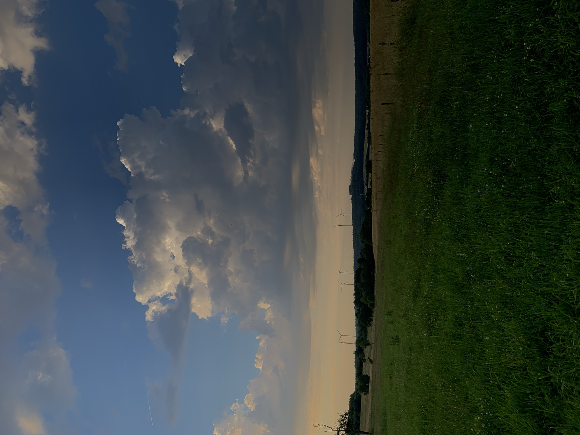 A landscape view of a grassy field in Beltershain, Germany shows a dramatic sky with large, billowing clouds. In the distance, several wind turbines stand against the horizon, dotted among trees and rolling hills. The sky transitions from a bright blue at the top to a warmer, sunset hue near the horizon, casting a soft light on the scene. The foreground is dominated by lush green grass, with some smaller wildflowers visible. A single bare tree stands on the left side of the image. The overall impression is one of natural beauty and serene, open space.