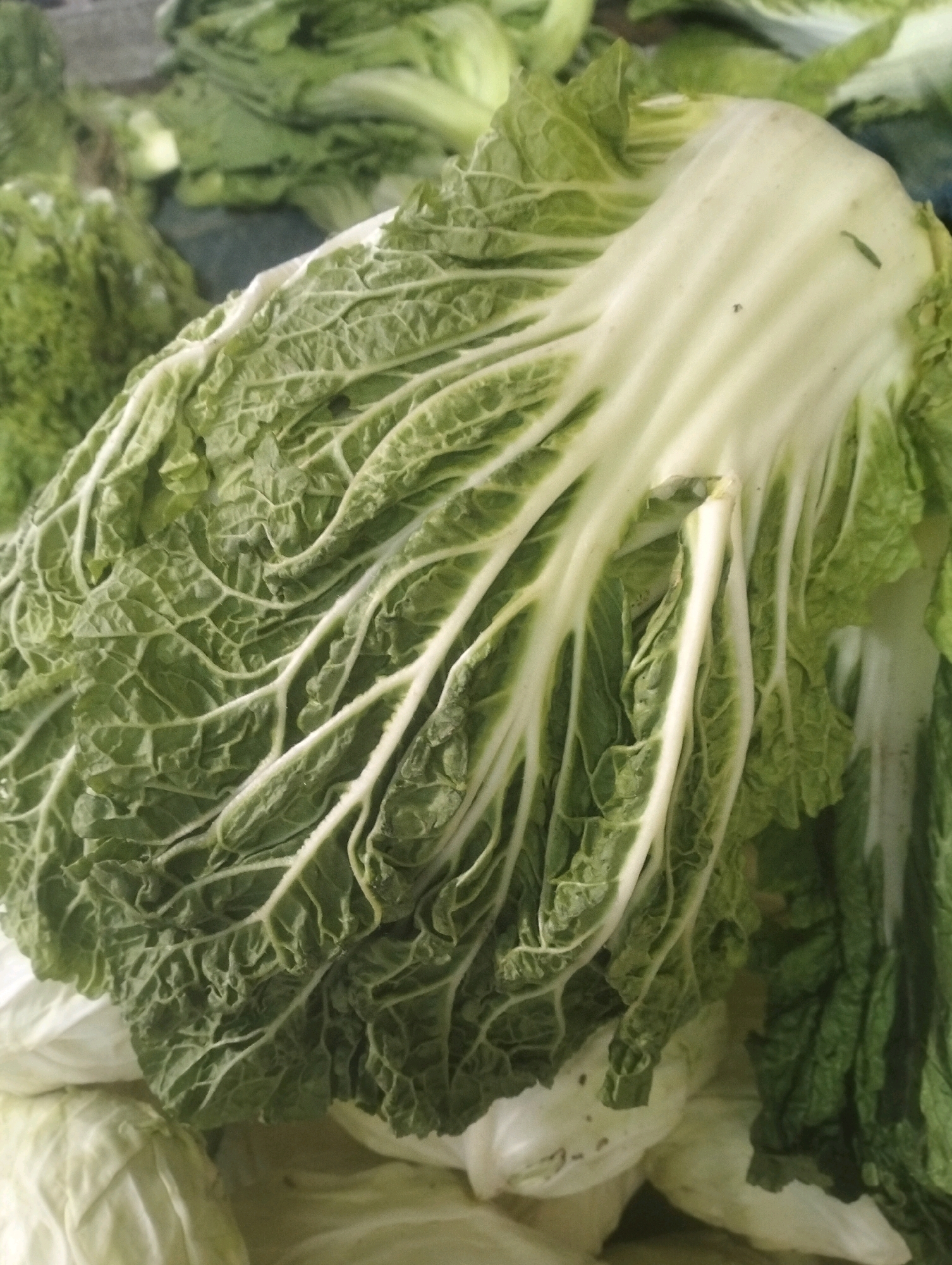 The image shows a close-up view of several heads of Napa cabbage. The cabbage in the foreground is mostly in focus, revealing its ribbed, pale green inner leaves and darker green outer leaves. The veins of the leaves are prominent. The background is slightly blurred, showing more heads of cabbage, some of which appear lighter in color. The overall impression is of a fresh produce display, possibly in a market. The scene is devoid of people and specific environmental details that would indicate a location within Balik Alam, Indonesia.