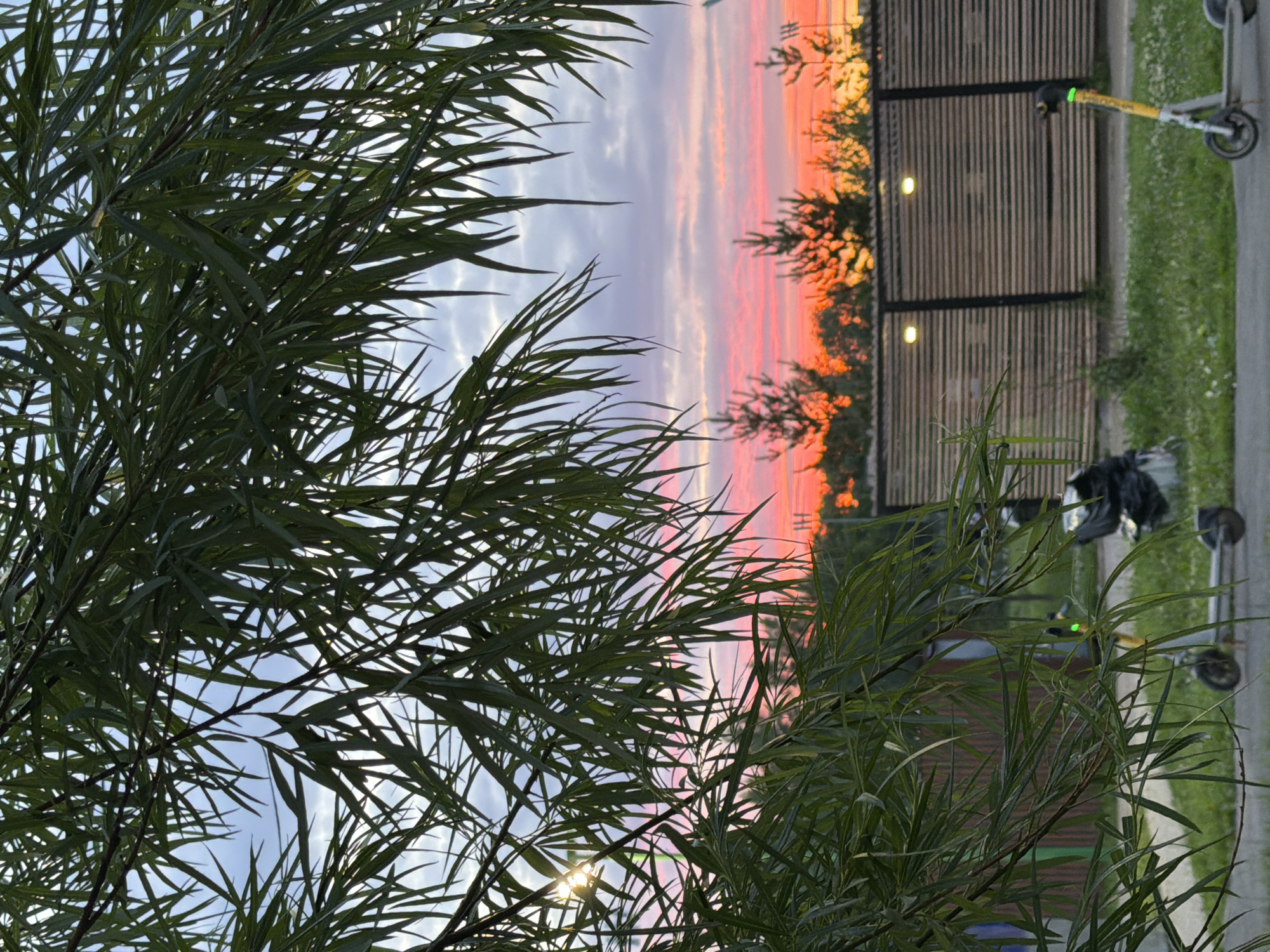 This vertical media file captures a serene outdoor scene at dusk, likely in Kazan, Russia, as indicated by the location context. The foreground is dominated by lush, green foliage, which blurs the background and creates a sense of depth. Through the leaves, a vibrant sunset sky is visible, painted with strokes of pink, orange, and purple, indicating the time of day is twilight. The sky is partly cloudy, with the clouds reflecting the warm hues of the sunset.
In the mid-ground, a wooden fence with vertical slats forms a distinct boundary. Behind the fence, there's a hint of greenery, possibly a park or garden. The fence is punctuated by two small, illuminated lights, suggesting the presence of an outdoor seating area or pathway. To the right of the fence, a paved path runs alongside a grassy area dotted with small white flowers.
Several objects are visible in the background and right side of the frame. These include two electric scooters, one yellow and one green, parked on the grass or pavement. There is also a dark-colored bag or object on the ground near one of the scooters. The scene is quiet and peaceful, evoking a sense of calm and natural beauty. No people are explicitly visible, but the presence of the scooters and the park-like setting suggests a public recreational space. The overall mood is tranquil, enhanced by the soft lighting of the sunset. No discernible text is present in the image.