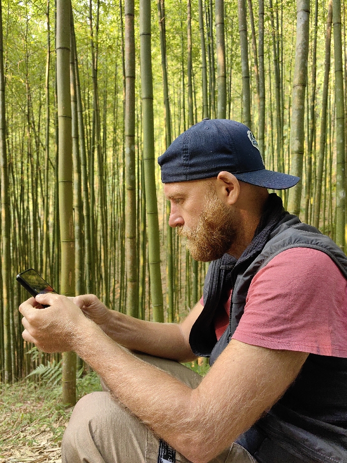 A male individual is depicted in a crouched or seated position within a dense bamboo forest in Mù Cang Chải, Vietnam. The subject, exhibiting a reddish-brown beard, wears a dark blue baseball cap, a salmon-colored short-sleeved t-shirt, a dark sleeveless vest, and light brown cargo-style pants. He holds a black smartphone horizontally in both hands, actively engaging with its screen. The background features a multitude of tall, slender green bamboo culms extending vertically from the forest floor, which is sparsely covered with earthy tones and some green foliage, including a visible fern frond to the left. The scene is illuminated by natural daylight.