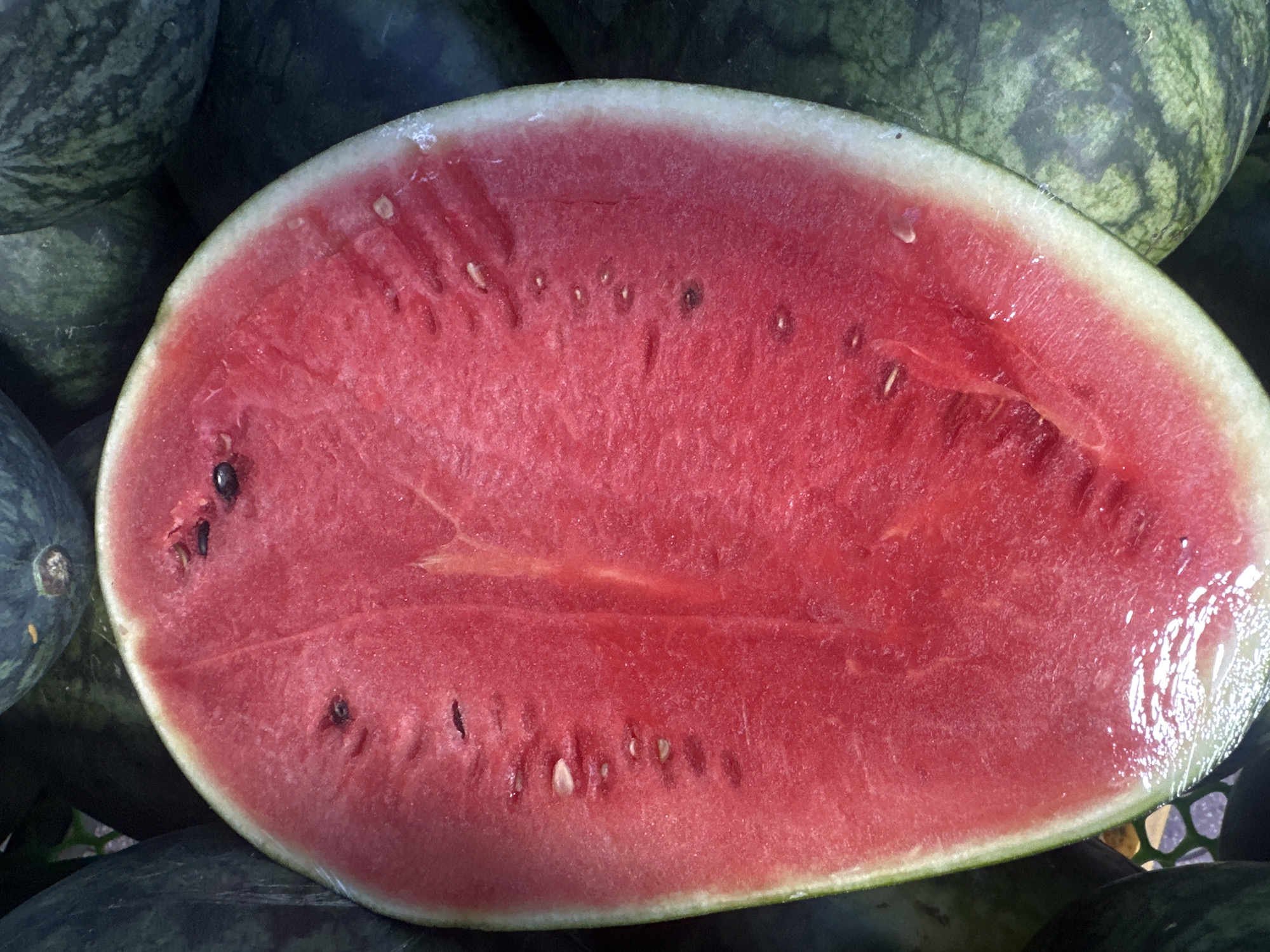 A half-cut watermelon is the primary subject of the image, displaying a vibrant red flesh speckled with black and white seeds. The rind is a pale green, transitioning to white closer to the flesh. The watermelon is positioned amidst a group of whole, dark green watermelons with mottled skin. The scene appears to be a vendor's stall, as evidenced by the arrangement of the watermelons. The location is Bac Nha Trang Ward, Vietnam.