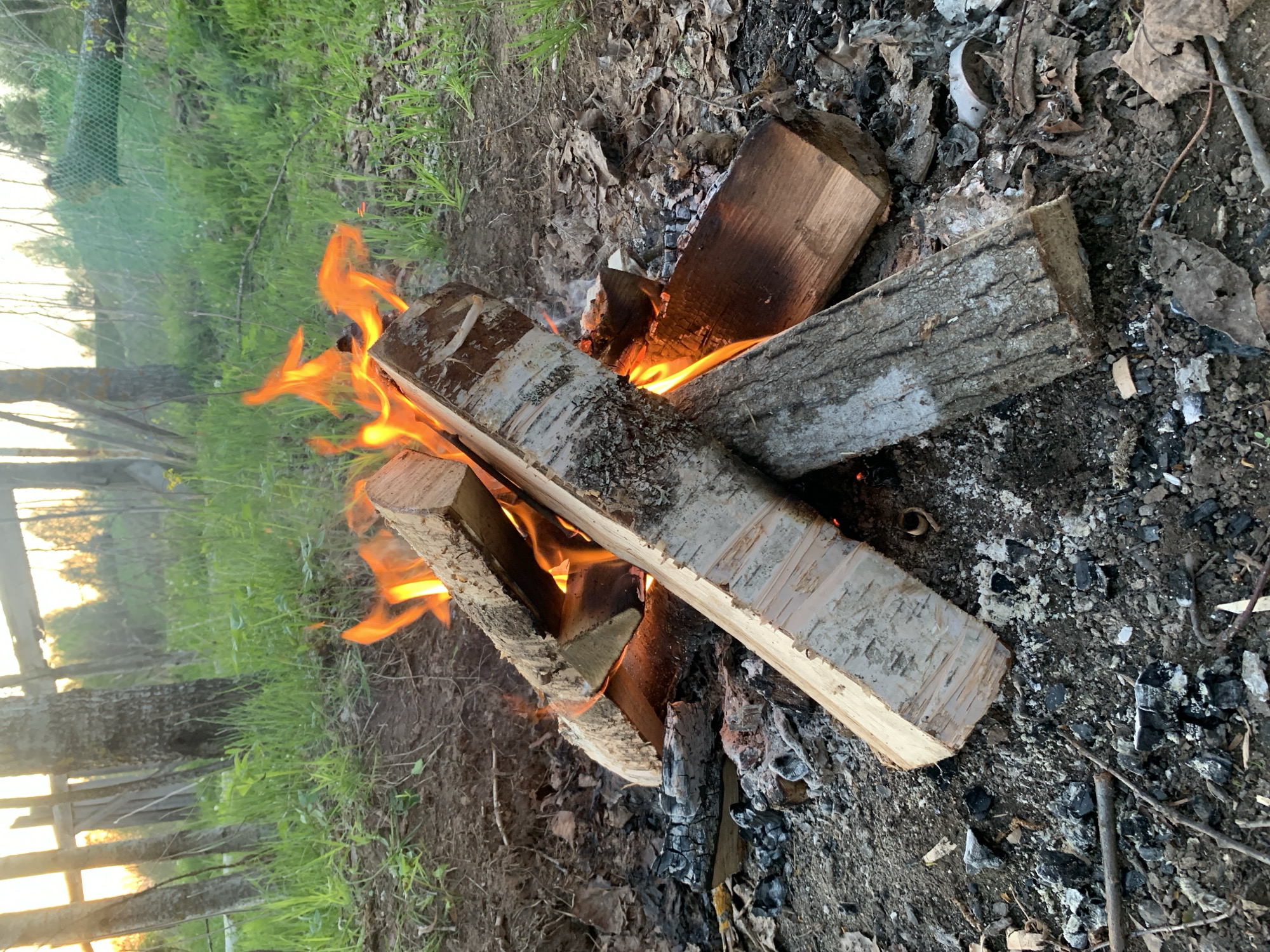 A campfire burns in a cleared patch of ground near Zasechnyi, Russia. Four logs are arranged to form the structure of the fire. The logs are partially consumed by flames. The surrounding area consists of soil, dead leaves, branches, and partially burned wood remnants. In the background, green grass and trees are visible. A fence is visible on the far left side of the image, behind the grass. The photo is taken during the daytime.