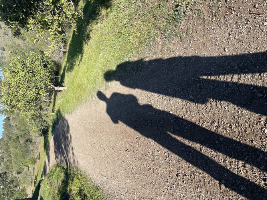 The image shows two shadows cast on a gravel path in a park. The path is lined with green grass and small trees. The shadows are of two people walking away from the camera, towards the top of the image. The path appears to be part of a walking trail in a park or nature preserve located in the town of Álora, Spain. The coordinates indicate that the location is near the Río Grande, a small river that runs through the town. The path is narrow, likely for pedestrian traffic only. The shadows are elongated, indicating that the sun is low in the sky, likely in the late afternoon or early evening.