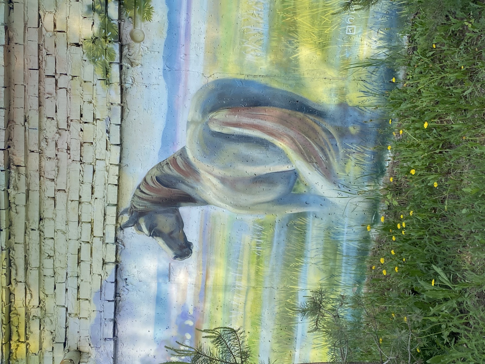 A mural of a light gray horse, with shades of brown in its mane, is painted on a white brick wall. The horse is in a resting or lying position, with its body curved. The background of the mural appears to be a stylized landscape with vertical stripes of light blue, green, and yellow, possibly representing grass and sky. Water droplets are painted throughout the mural, creating a wet, ethereal effect. The mural is positioned next to a patch of green grass and dandelions. The image has been taken outdoors, with natural light illuminating the mural and surrounding vegetation. The location is Chaikovsky, Russia, as indicated by a painted signature with Russian characters.