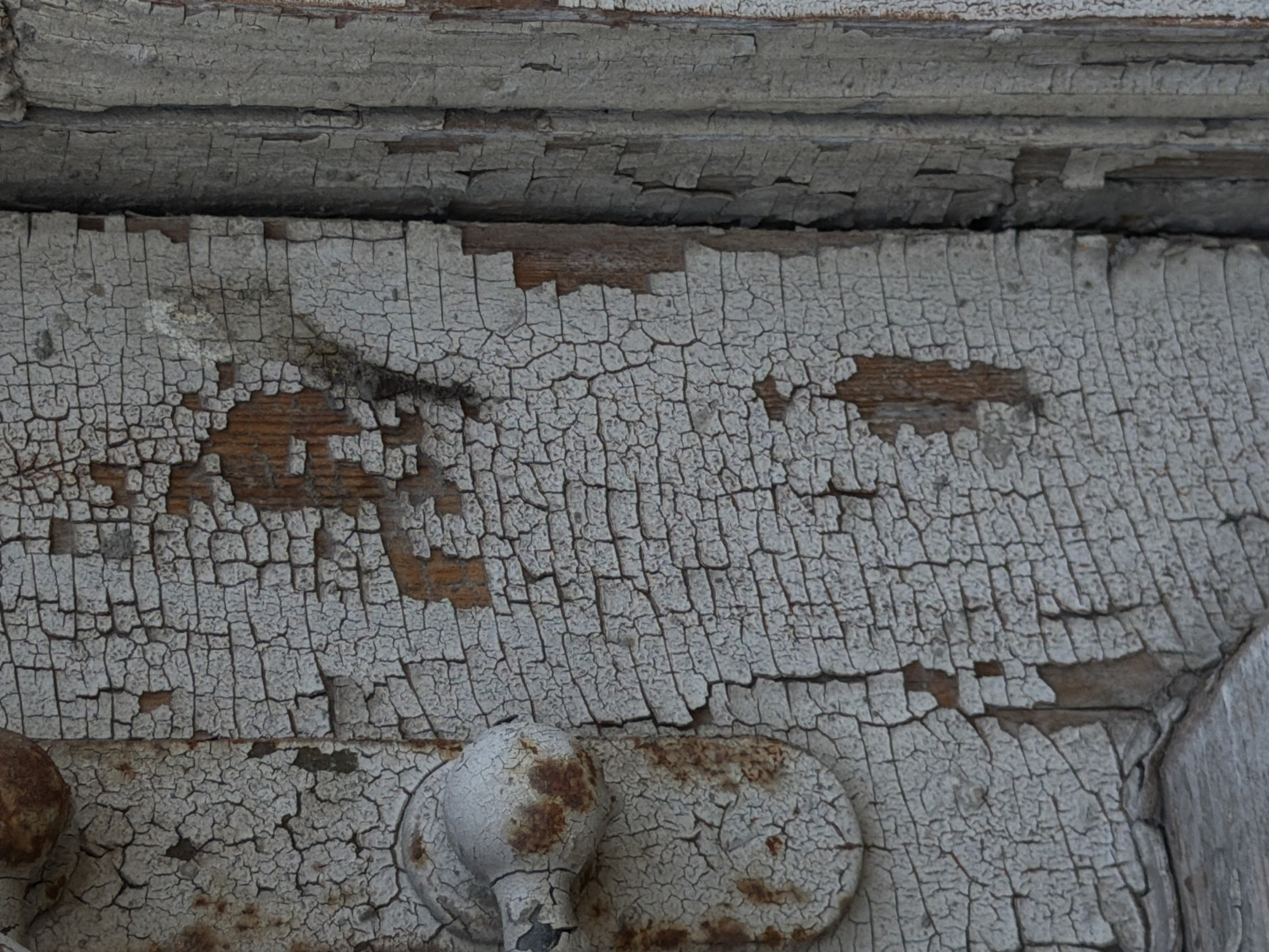 The image shows a close-up of a weathered, old wooden door with peeling white paint. The paint is cracked into a fine network of lines, revealing the wood grain and some darker patches underneath. There is also evidence of rust, particularly on a round metal knob visible on the left side of the frame. The door appears to be part of an exterior entryway. The texture of the wood and paint is rough and uneven. The image is taken in Taganrog, Russia.