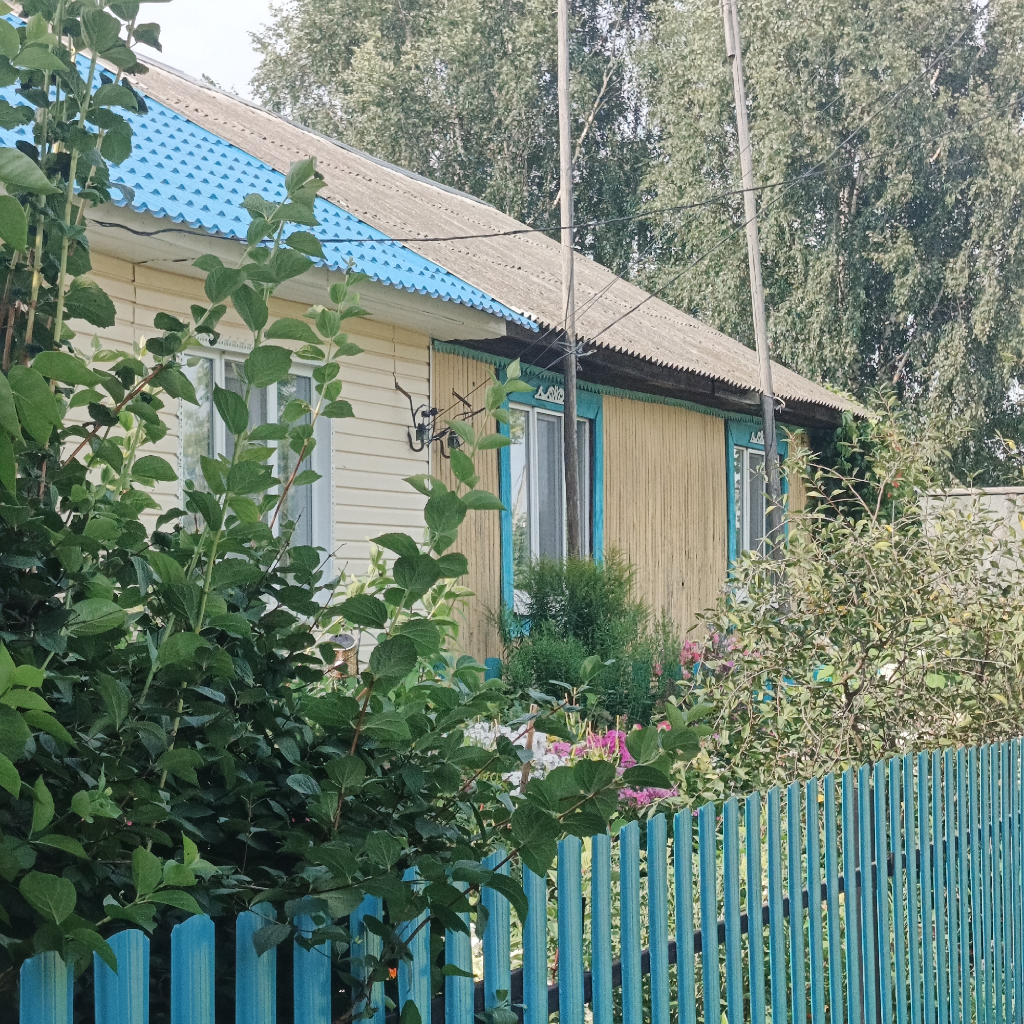 This is a photograph of a residential building with a bright blue corrugated metal roof and beige siding, with a portion of the wall clad in vertical wooden planks painted yellow. The house has windows with white frames, and one window is accented with a teal-colored wooden trim. A decorative wooden fascia with a repeating pattern in teal and green is visible under the roof eaves. The property is enclosed by a bright teal metal picket fence. Lush green foliage from trees and bushes, some with pink flowers, obscures parts of the fence and the lower section of the building. Power lines are strung across the upper portion of the image, supported by a wooden utility pole. The scene appears to be in a rural or suburban setting, consistent with the location of Ваньки, Russia, likely during daytime with bright sunlight.