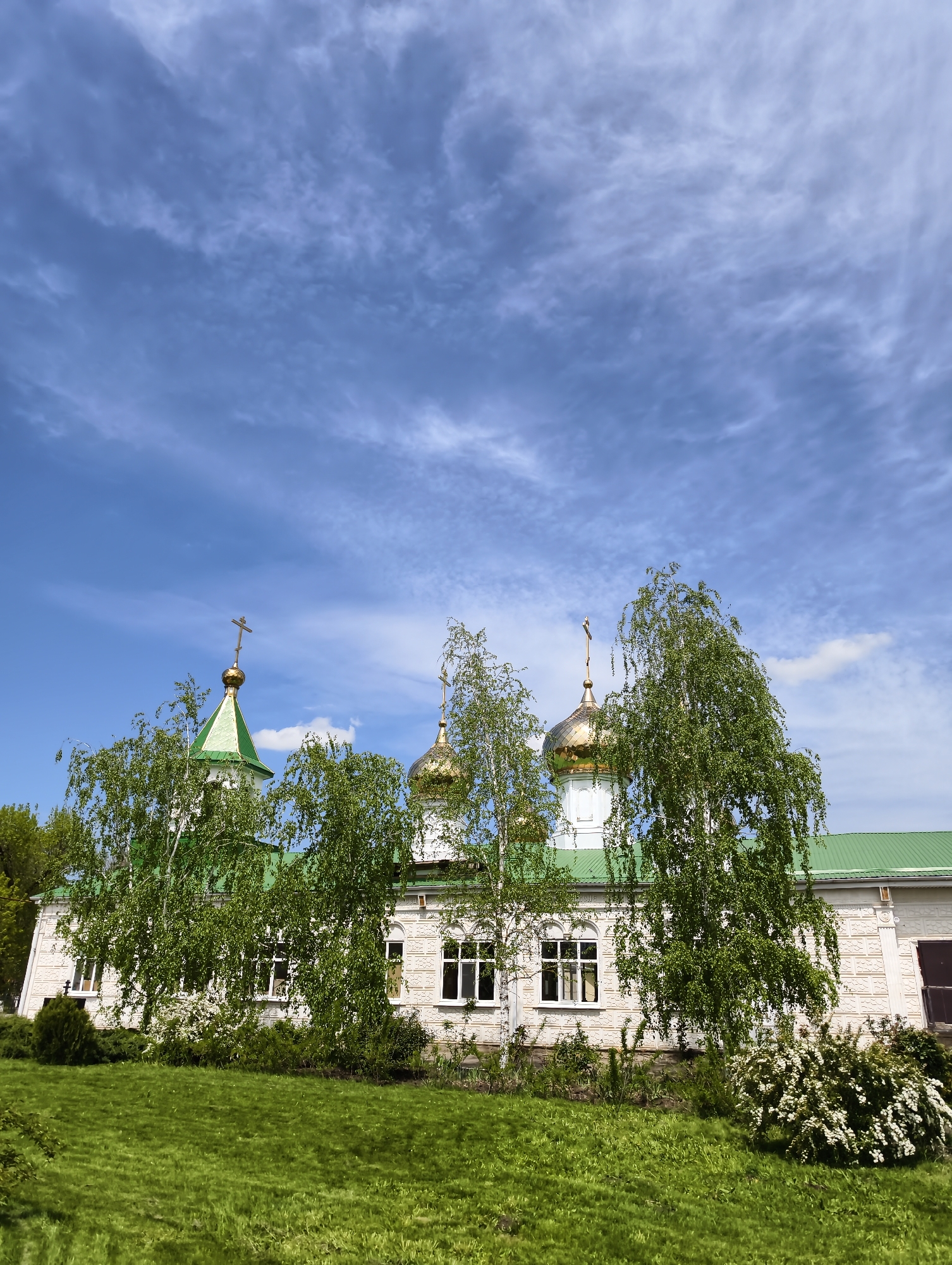 An outdoor, eye-level shot captures a vibrant scene dominated by a white church building with a bright green roof and golden domes, set against a clear blue sky. The church features multiple gold-colored onion domes, each topped with an ornate cross, characteristic of Eastern Orthodox architecture. Its facade is a light color, possibly white or cream, with intricate textured patterns below the windows. Several rectangular windows with white frames are visible along the building.
In the foreground and mid-ground, lush green grass covers the ground. Several slender birch trees with their distinctive white bark and fresh green leaves are prominently positioned in front of and around the church, partially obscuring the building but also framing it. To the right of the image, a bush with small white flowers adds a touch of brightness to the greenery.
The sky above is a brilliant blue, scattered with thin, wispy white clouds, suggesting a pleasant, sunny day. No people are visible in the image, and no specific activity is taking place. The scene conveys a sense of tranquility and natural beauty, highlighting the architectural grandeur of the church amidst verdant surroundings. There is no visible text. The setting is likely in Ilskiy, Russia.