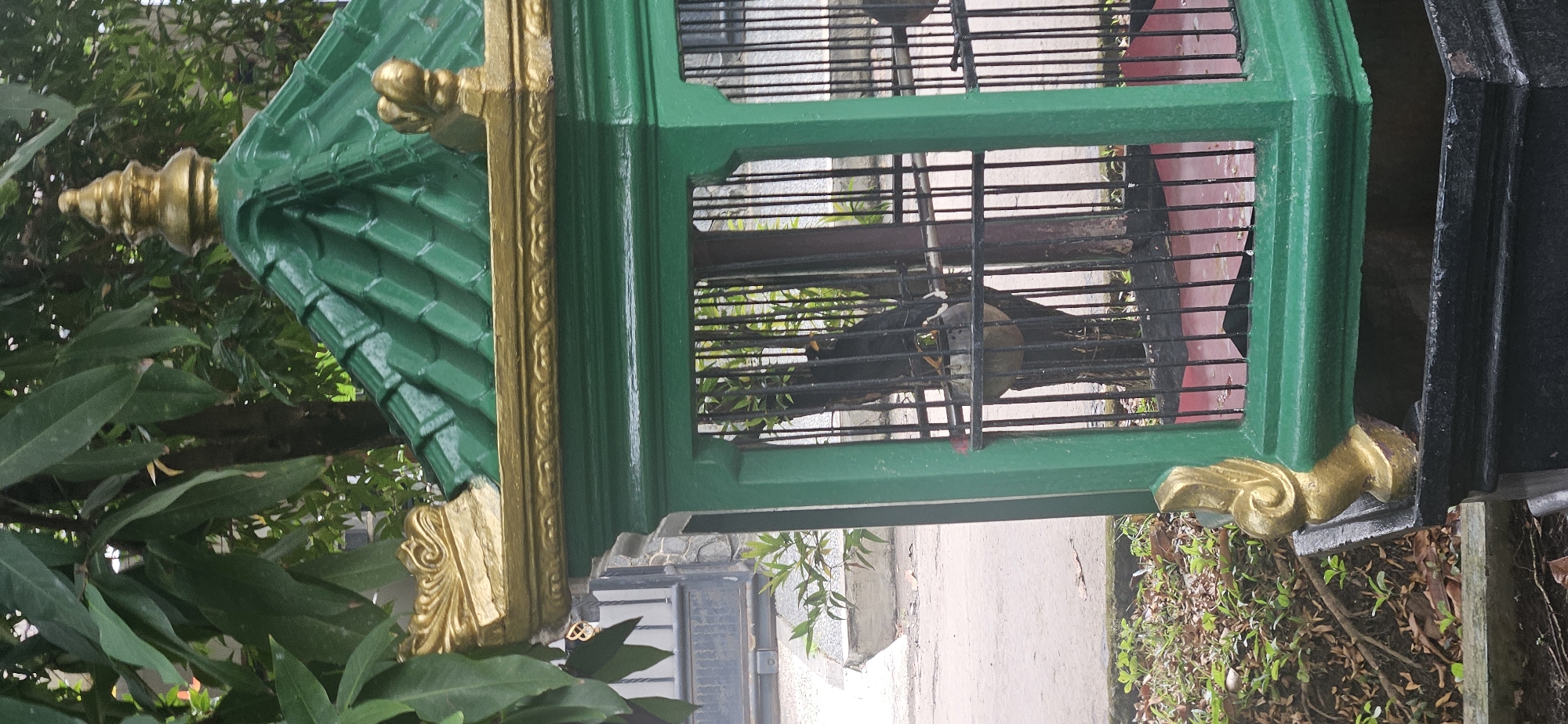 The image shows a green birdcage with golden decorative accents, positioned outdoors. Inside the cage, a black bird with some white markings is perched on a wooden dowel. The birdcage has a green, tiled roof with golden trim and finials. The cage is placed on a black base. In the background, there are green leaves and trees, suggesting a natural or garden setting. The ground is paved in some areas and covered with dry leaves and grass in others. The overall scene appears to be in a residential or public outdoor space, possibly a garden or park within the city of Bekasi, Indonesia.