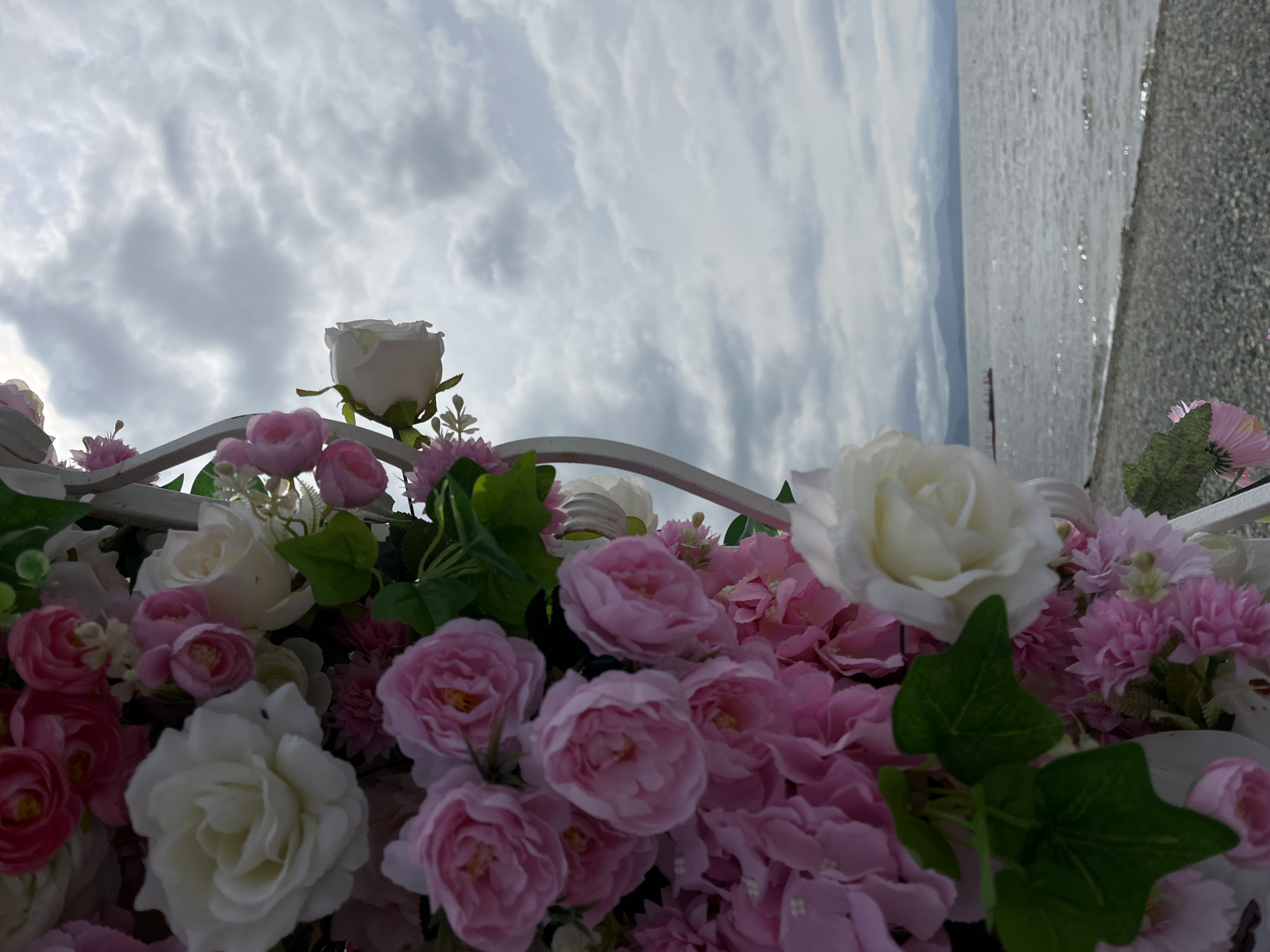 The image depicts a close-up view of artificial pink and white roses arranged on a white arch, partially obscuring a body of water with a mountainous horizon under a cloudy sky. The foreground is dominated by the floral arrangement, with a few green leaves visible. Beyond the flowers, a body of water, likely a bay or lake, is visible, with a pebble beach in the immediate foreground. A distant view shows mountains on the horizon, shrouded in mist. The sky is overcast with various shades of grey clouds. The scene appears to be outdoors, possibly near a waterfront in a location like Petropavlovsk-Kamchatsky, Russia, given the mountainous landscape and proximity to water. No people or specific actions are depicted.