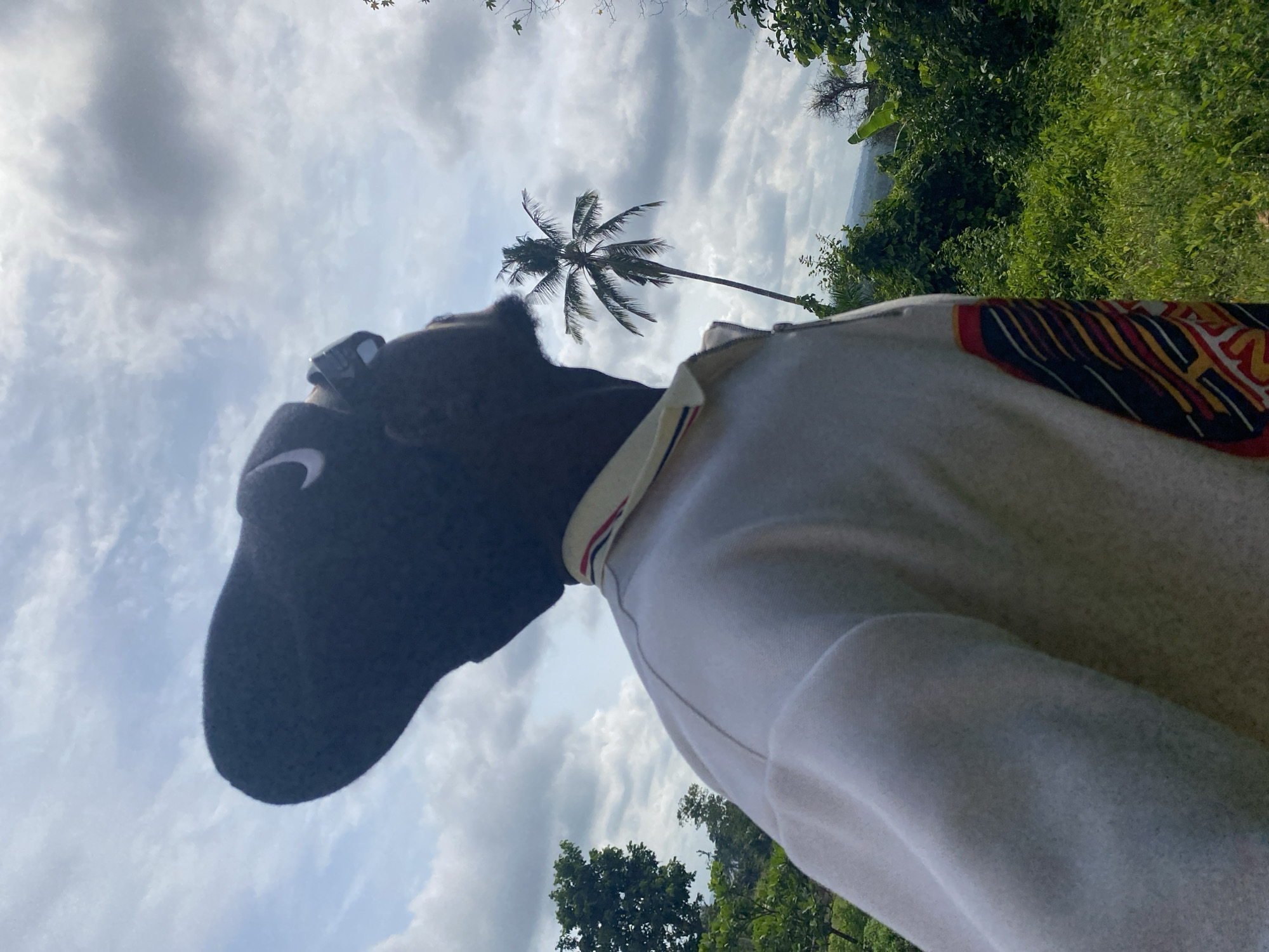 A person wearing a dark cap and a white polo shirt is looking up at a coconut palm tree. The background is a cloudy sky and lush green vegetation, consistent with the environment of Achara, Nigeria.