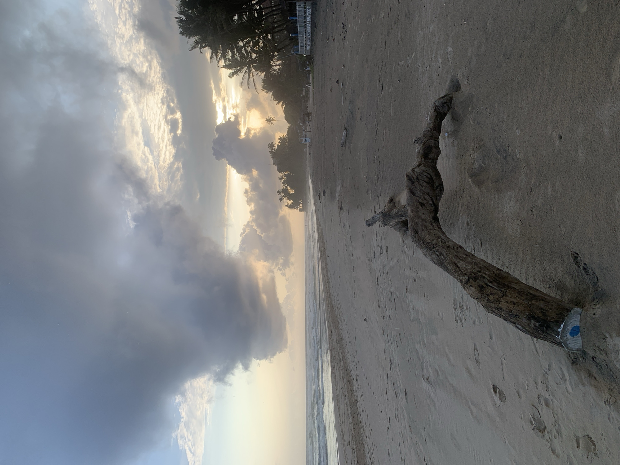 A beach in Kathaluwa, Sri Lanka at dawn or dusk. A gnarled piece of driftwood lies on the sand. Cloudy sky, with the sun breaking through. Palm trees in the distance.