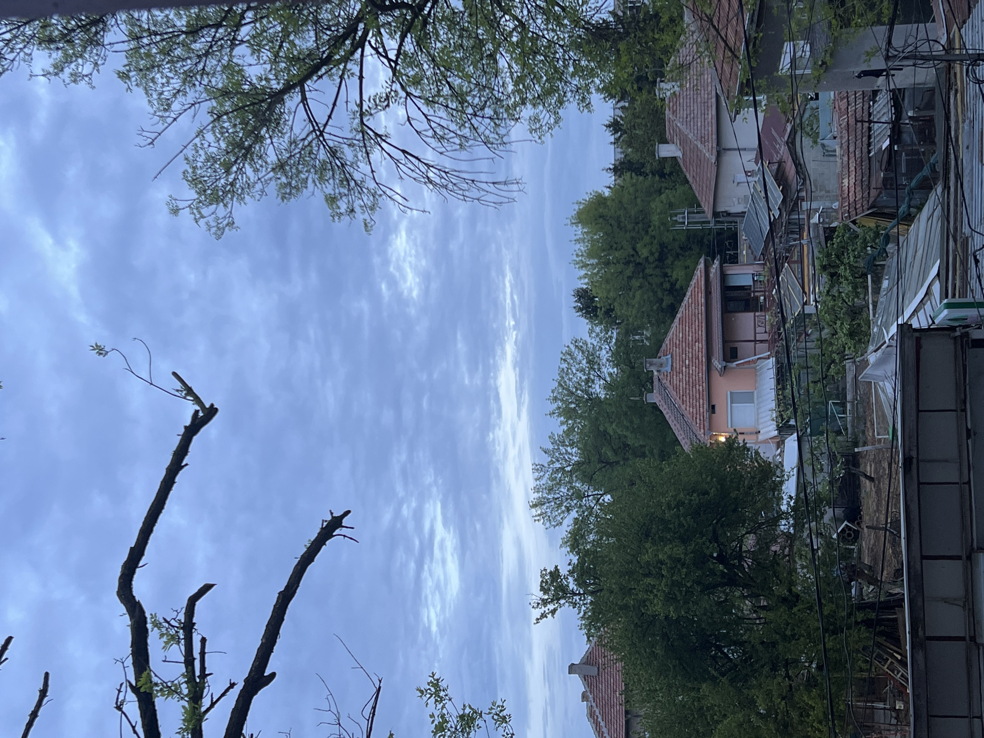 The image, taken from an elevated position, captures a street scene in Dobrich, Bulgaria. The foreground is dominated by tree branches, some bare and others with new spring foliage, reaching towards a sky filled with light blue clouds. In the middle ground, a row of houses with red-tiled roofs and various architectural styles are partially obscured by lush green trees. The houses appear to be in close proximity to each other, typical of urban residential areas. Power lines crisscross between the houses and trees. Visible details include windows, chimneys, and other residential features. The overall impression is a quiet, residential neighborhood under a cloudy sky.