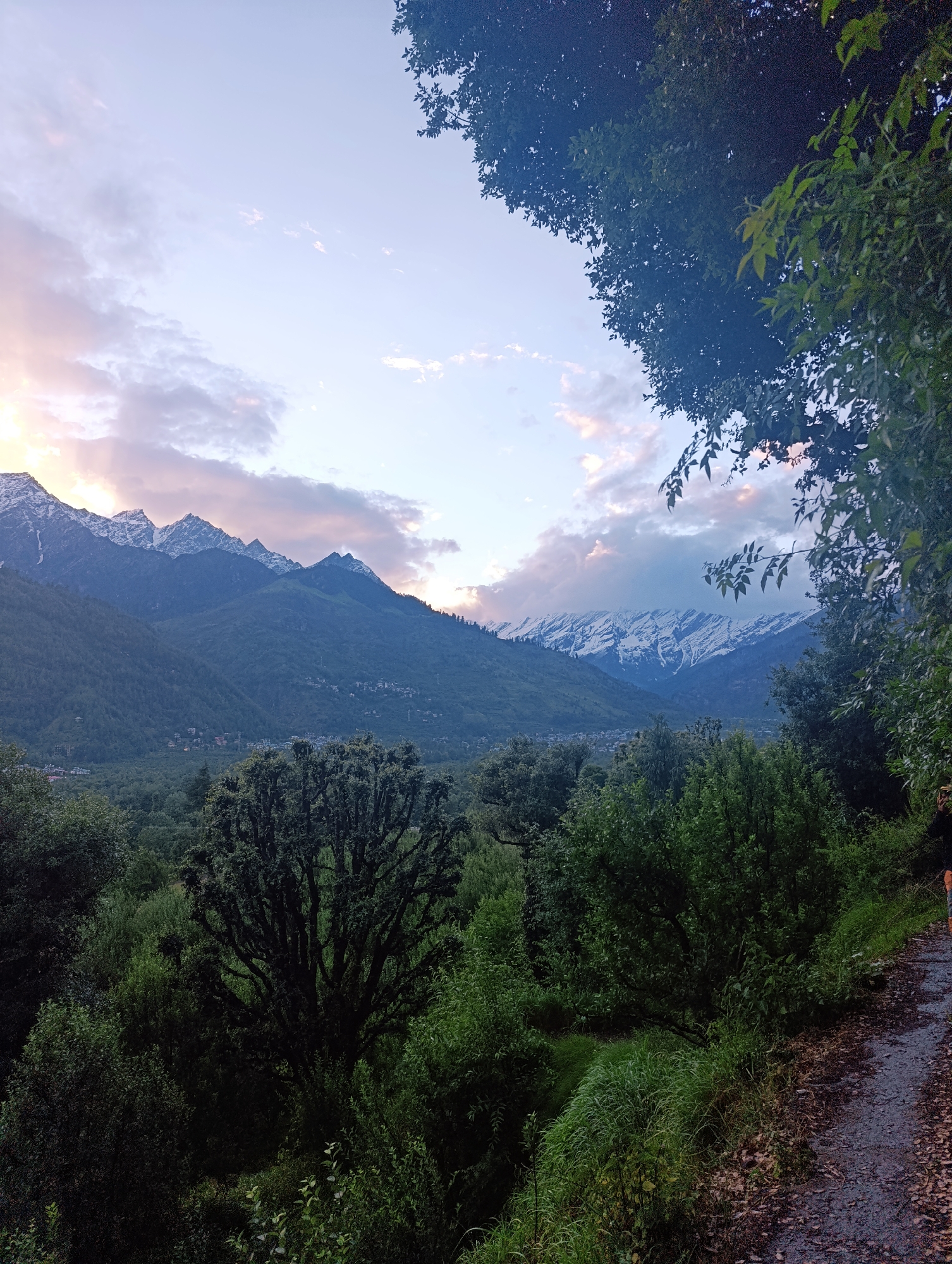This is a photograph taken in the city of Vashisht, India, at dusk or dawn. The image features a panoramic view of snow-capped mountains in the background, likely the Himalayas, partially obscured by clouds. In the foreground, there is a dense forest with various types of trees and lush green foliage. A dirt path is visible on the right side of the frame, with fallen leaves scattered on it. A person, whose legs and lower torso are visible, is walking on the path, facing away from the camera and towards the mountains. The sky is a soft pastel color, with hints of pink and orange from the setting or rising sun. The overall atmosphere is serene and natural, showcasing the beauty of the mountainous landscape and the surrounding forest.
