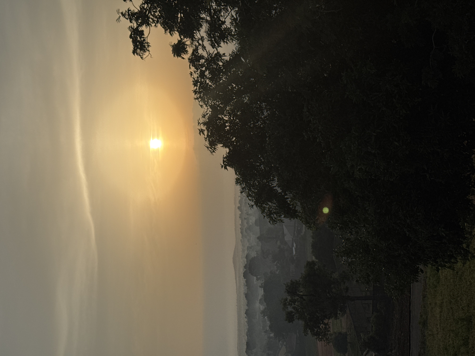 The image captures a serene dawn or dusk scene in Akwanga, Nigeria. The sun, a bright orb, is low in the sky, casting a warm, golden glow that diffuses through the hazy atmosphere. This soft light illuminates a vast expanse of rolling hills and a distant town, partially obscured by a gentle mist.
In the foreground, the silhouette of dense foliage, likely trees and bushes, dominates the right side of the frame. Their dark, leafy branches are stark against the illuminated sky. The leaves are detailed enough to suggest a tropical or subtropical climate.
The landscape below appears to be a mix of rural and semi-urban environments. There are visible structures, possibly houses or buildings, scattered amongst the trees. A road or path is discernible in the lower left quadrant, bordering a patch of green vegetation that could be farmland or a grassy area. The overall impression is one of peaceful, rural life bathed in the soft, ethereal light of either sunrise or sunset. There are no people or animals visible in the image.