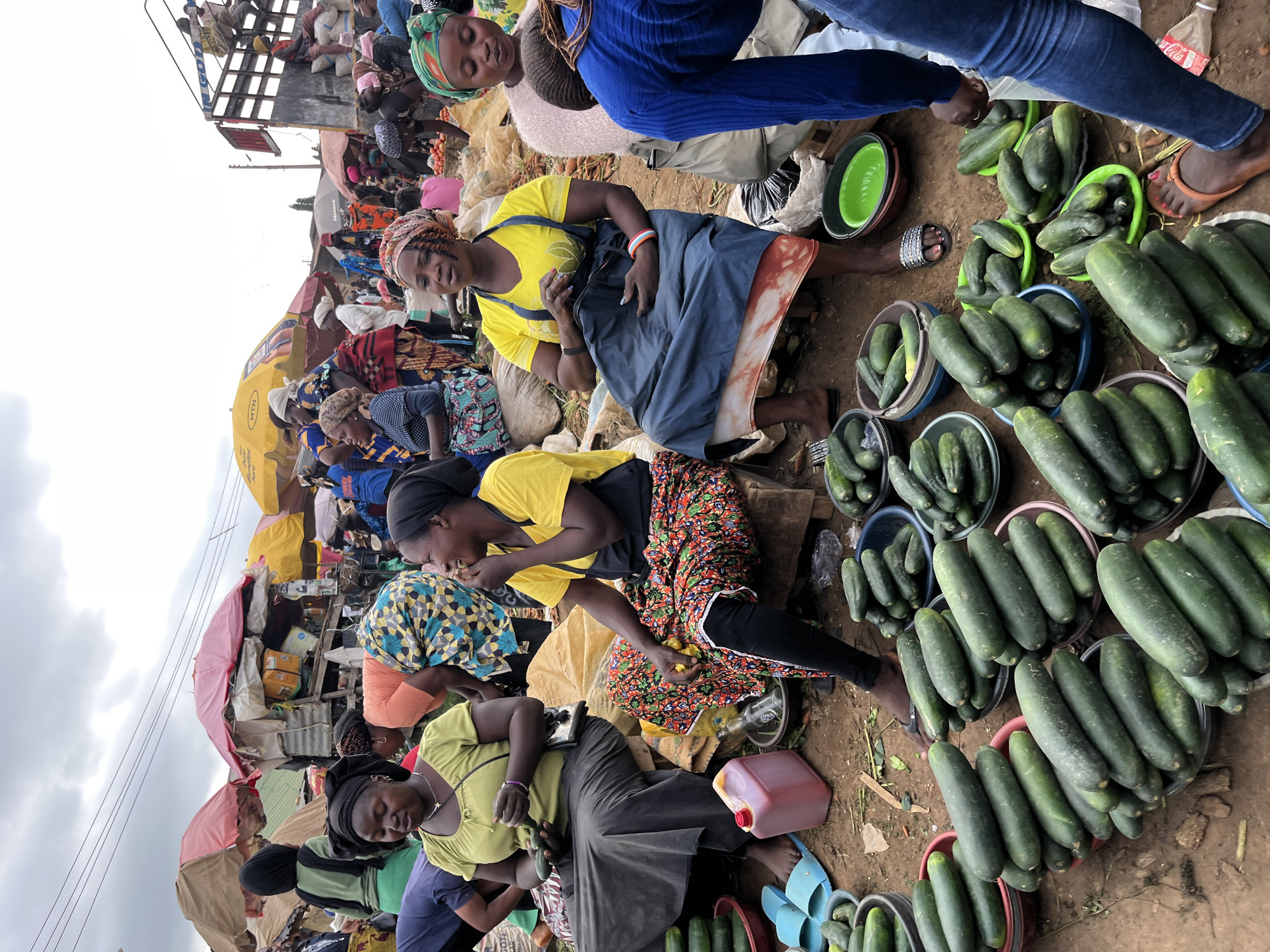 This image captures a bustling marketplace scene in Gura Top, Nigeria, likely during daylight hours given the bright illumination. The primary subjects are a group of women, many of whom are vendors displaying their goods. They are dressed in vibrant, traditional clothing, with headscarves being a common accessory. Some women are seated or kneeling amidst piles of produce, while others appear to be interacting with customers or each other.
The dominant objects in the scene are large quantities of cucumbers, meticulously arranged in various bowls and baskets. The cucumbers are a deep green and appear fresh. Other items visible include plastic containers, some filled with what appears to be liquid, and assorted market stalls constructed with corrugated metal and tarpaulins. The ground is dirt, indicative of an outdoor market.
The overall atmosphere seems lively and active, characteristic of a busy marketplace. The women's expressions are varied, with some engaged in conversation and others focused on their merchandise. The scene is filled with people, suggesting a community gathering point for commerce and social interaction.
Although the image is somewhat chaotic due to the density of people and goods, it offers a glimpse into the daily life and economic activities of the Gura Top market. The presence of multiple stalls and the variety of items suggest a well-established trading hub. The weather appears to be overcast, judging by the diffused light.
No discernible text is clearly visible in the image, apart from a partially obscured "MTN" logo on a yellow umbrella, a telecommunications company common in Nigeria.