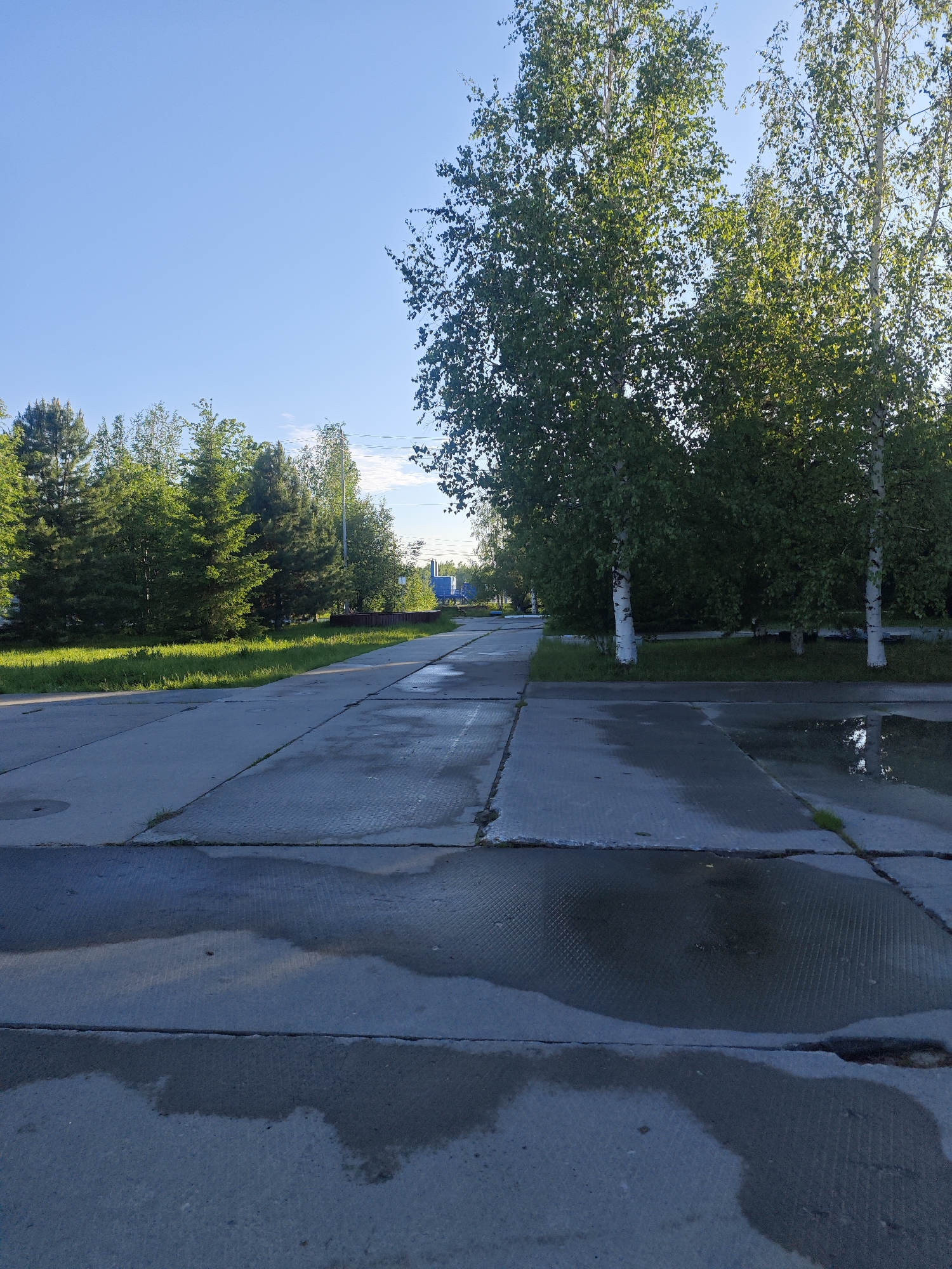 The image captures an outdoor scene featuring a paved area, trees, and grass under a clear, bright blue sky. The ground is covered with large, grey concrete slabs, many of which contain puddles, indicating recent rainfall. These slabs have visible seams and some areas show a textured, possibly non-slip, pattern.
On the right side of the frame, several birch trees with distinctive white bark and vibrant green leaves stand tall, their foliage partially lit by direct sunlight. To the left, a dense line of coniferous trees, likely pines or firs, and other green deciduous trees create a lush backdrop. Green grass lines the edges of the paved path and grows around the base of the trees.
In the far background, on the left side, faint outlines of a blue structure, possibly an industrial building or shed, along with utility poles and power lines, can be discerned. The overall lighting suggests it is daytime, likely late morning or early afternoon, with clear weather following precipitation. There is no visible human or animal activity, and no discernible text. The scene conveys a quiet, natural setting juxtaposed with utilitarian paved surfaces.