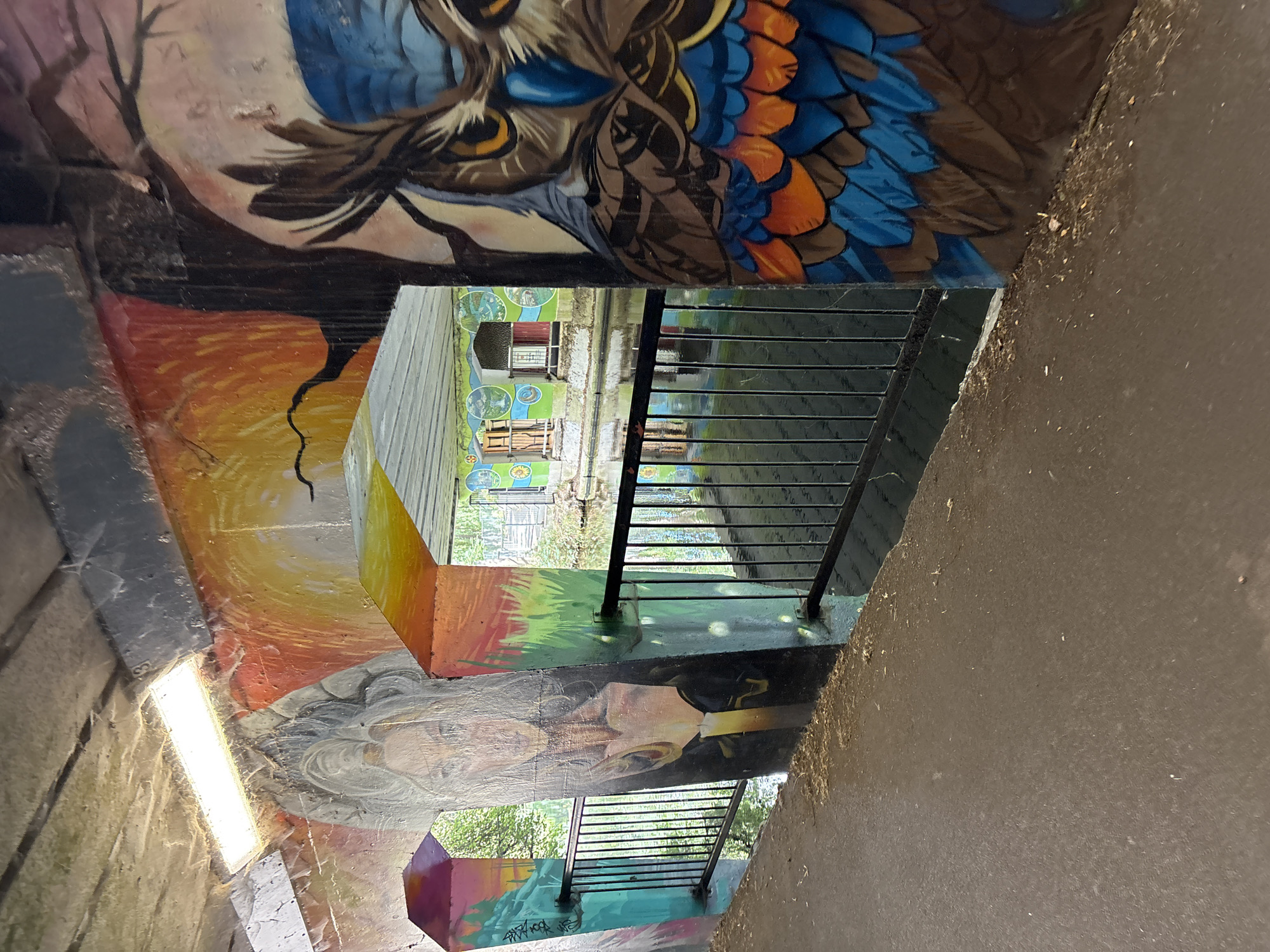 The image depicts a graffiti-covered underpass in Chelmsford, United Kingdom, likely a pedestrian or cycle path adjacent to a waterway. On the left wall, a portrait of a woman with long, gray hair is painted, holding a lit candle. The background of this mural features a sunset with orange and yellow hues. To the right, a large, colorful mural of an owl's face dominates the wall, with bright blue and orange feathers. The underpass features black metal railings bordering a dark body of water, which reflects the painted walls. Beyond the railings, a section of another wall is visible, adorned with circular murals depicting various scenes. The ceiling of the underpass is concrete, with visible cobwebs and a fluorescent light fixture. The ground is paved, with some debris and loose material.