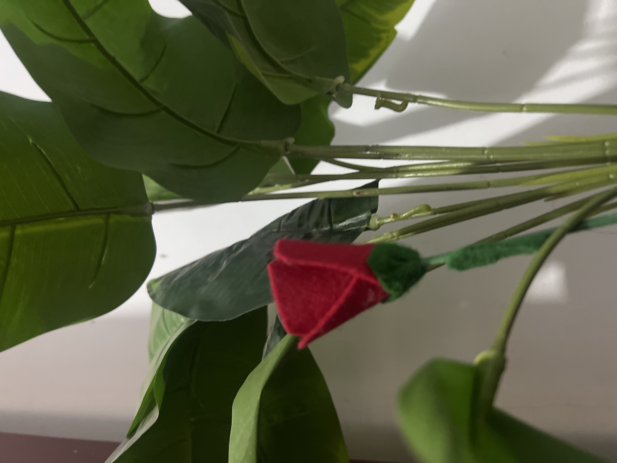 A single red felt rose with a green stem and base is positioned in front of a large, green, artificial plant. The plant has broad, textured leaves and multiple green stems. The background is a plain, neutral-colored wall. The image appears to be taken indoors, possibly in a home or studio setting, and does not provide any information about the location in Klapanunggal, Indonesia.