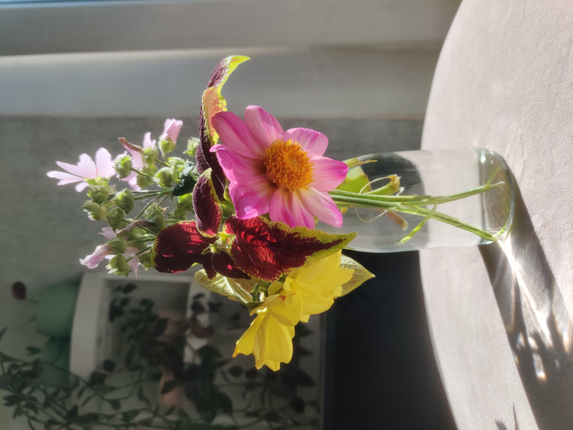 A close-up, eye-level shot captures a clear glass vase containing a small bouquet of flowers and leaves. The arrangement includes a vibrant pink dahlia with a yellow center, a bright yellow flower, a cluster of small pink blossoms and buds, and several dark red leaves with green edges. The vase sits on a pale, textured surface, possibly a table, which is illuminated by sunlight casting intricate shadows. In the background, out of focus, are shelves with plants and what appears to be a window with sheer curtains. The lighting suggests a sunny day, with a strong highlight on the right side of the frame. There are no people or animals present in the image. The image is a still life composition focusing on the floral arrangement and the play of light. The image is unlikely to be associated with Yekaterinburg, Russia, as there are no specific identifying markers or geographical features.