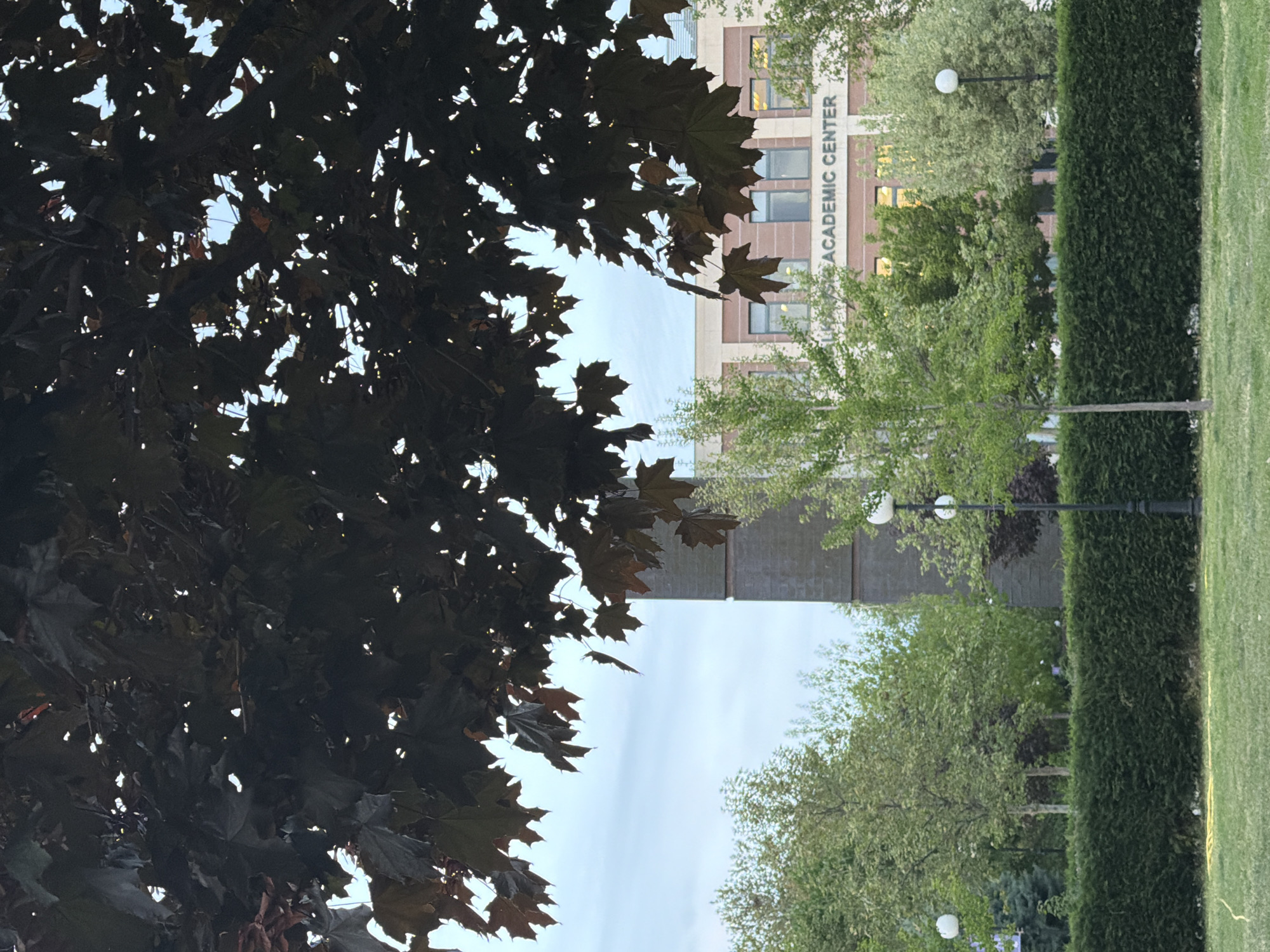 A photograph captures a building labeled "ACADEMIC CENTER" in a park setting. Dark, leafy branches frame the left side of the image. A trimmed hedge runs vertically along the right side, with grass and interspersed trees and light poles. The sky is visible between the branches. The photograph seems to be taken from an oblique angle. The location is Blagoevgrad, Bulgaria.