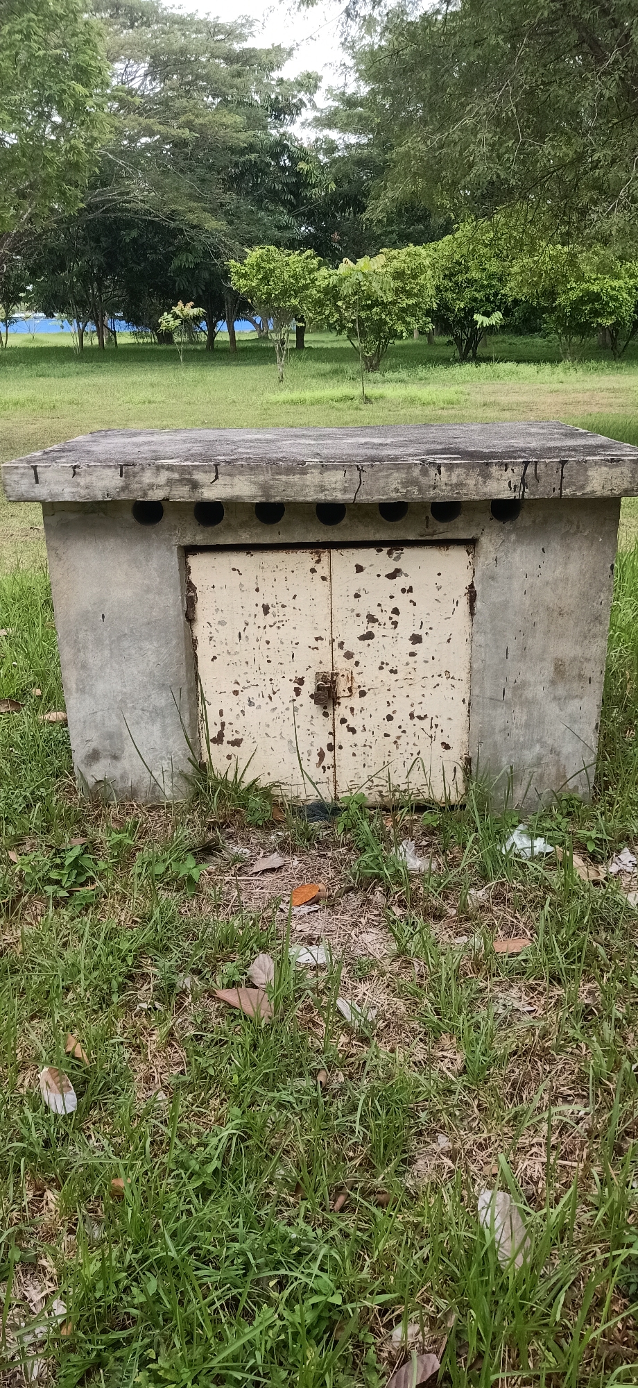 A low-angle, eye-level, full shot captures a concrete structure with a weathered, cream-colored metal door in Tambontunong, Indonesia. The structure, which appears to be a utility box or perhaps a small shelter, is situated on a grassy area with scattered dry leaves and some light debris. The concrete is rough and stained, and the metal door exhibits significant rust and peeling paint, with two visible hinges and a latch. Above the door, on the concrete structure, are five circular openings. The background consists of a line of trees with varying foliage densities, and beyond them, a glimpse of a bright blue surface, possibly a body of water or a structure covered in a blue tarp. The sky above is overcast and bright. The scene is devoid of any human presence.