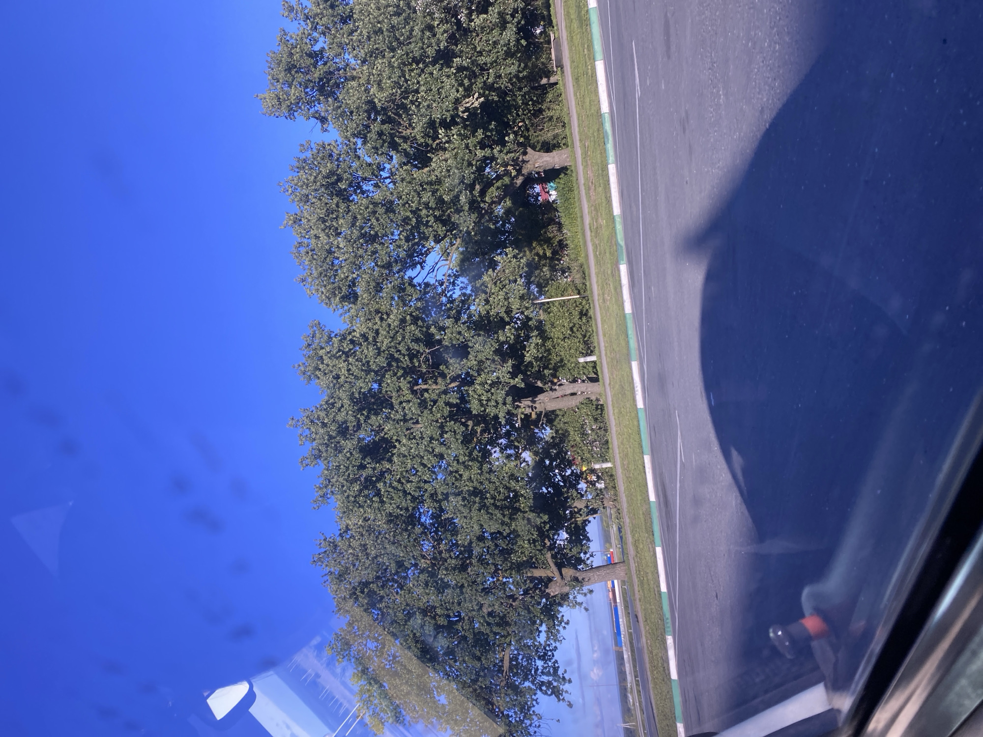 The image displays a clear blue sky above a row of large, leafy trees. In front of the trees, a road with white and green markings is visible, suggesting it is a divided highway or a road with a median. The foreground shows a reflection on a surface, possibly a car window, with a shadow cast on the road. The scene appears to be in an outdoor, possibly semi-urban or rural, setting. The location is specified as Zaglyadovka, Russia.