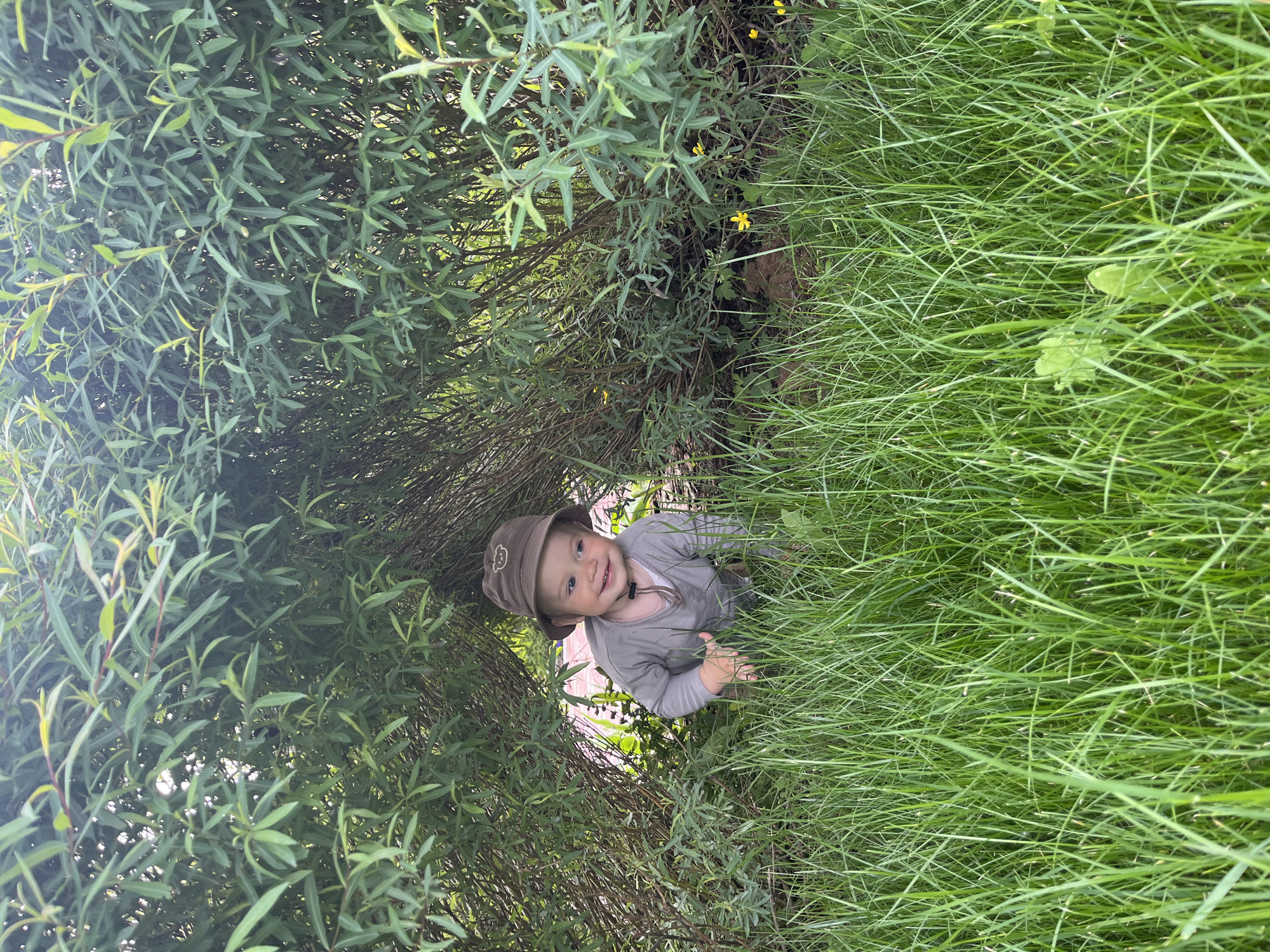 The image captures a young toddler crawling out of a dense natural tunnel formed by green-leafed bushes, situated in the city of Chaikovsky, Russia. The child, with fair skin, light hair, and blue eyes, is wearing a long-sleeved grey top over a white undershirt and a brown bucket hat adorned with a lighter brown embroidered monkey face on the front. A hat string is visible under the child's chin. The toddler is positioned on hands and knees in the foreground, emerging from the foliage, and is smiling broadly while looking slightly to the viewer's right. The immediate foreground is covered in vibrant green, overgrown grass. Behind the child, the dense bushes form a thick canopy and walls of green foliage, characterized by numerous slender branches and elongated green leaves, some with reddish stems. Small yellow flowers are visible among the sparse growth at the base of the bushes on the right side of the frame. The scene is illuminated by natural daylight.