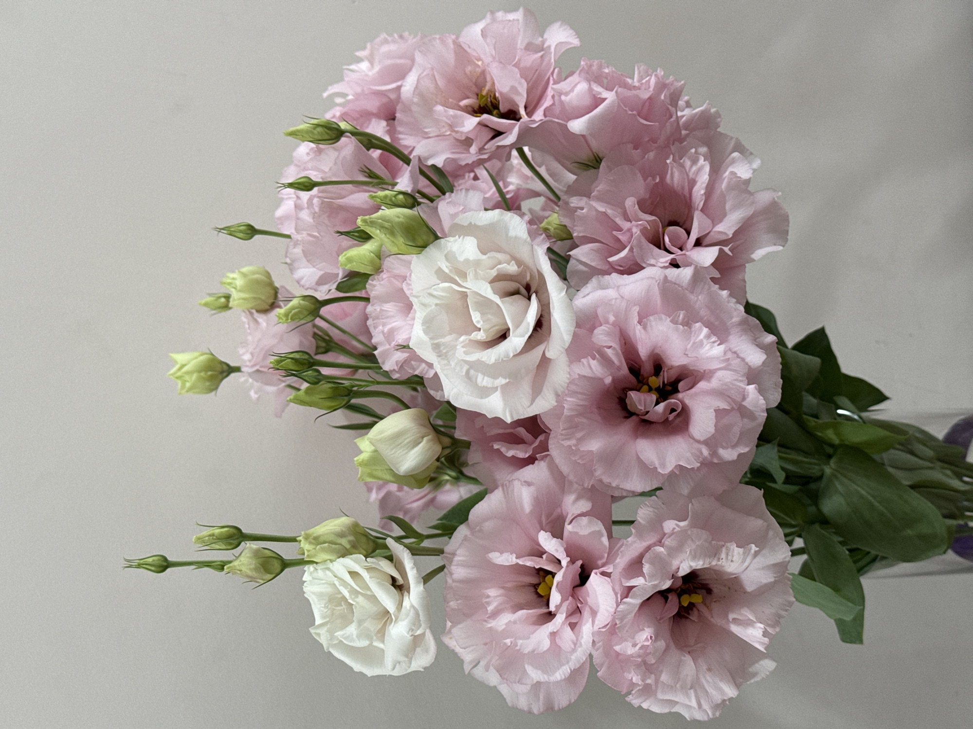 A vertical close-up shot showcases a bouquet of pink and white lisianthus flowers arranged in a clear glass vase. The flowers are varied in bloom, with some fully open, revealing their delicate petals and dark centers, while others remain as tight green buds. The background is a plain, light grey wall. The image does not contain any information that would allow for the determination of its location in Yerevan, Armenia.