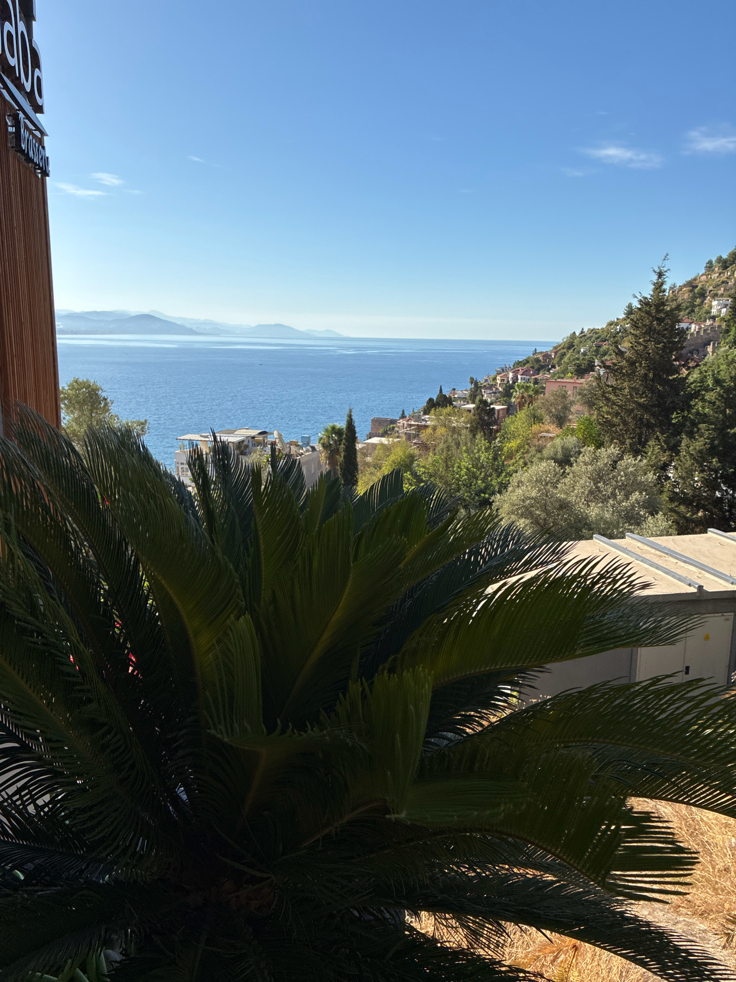 This image depicts a scenic view from a high vantage point overlooking the Mediterranean Sea in Alanya, Turkey. In the foreground, a large, lush green palm frond fills the bottom left of the frame, casting shadows on a dry, yellow ground. To the right, a flat-roofed structure, likely part of a building or utility enclosure, is visible.
Beyond the palm, the blue expanse of the sea stretches towards a distant coastline with rolling hills and mountains, shrouded in a light haze. The hills are dotted with white buildings and terracotta roofs, characteristic of Mediterranean architecture, climbing up the slopes. Vegetation, including trees and shrubs, covers the hillside, adding to the natural beauty of the scene.
On the far left, a portion of a building facade is visible, featuring vertical wooden slats and signage. The text on the sign is partially obscured, but "baba" and "Brasserie" are discernible. The sky above is a clear, bright blue with a few wispy clouds. The overall impression is one of a sunny day, with a tranquil and picturesque coastal landscape. The scene suggests a location with a view of the sea and the historic Alanya castle or old town, likely from a hotel, restaurant, or residential building.