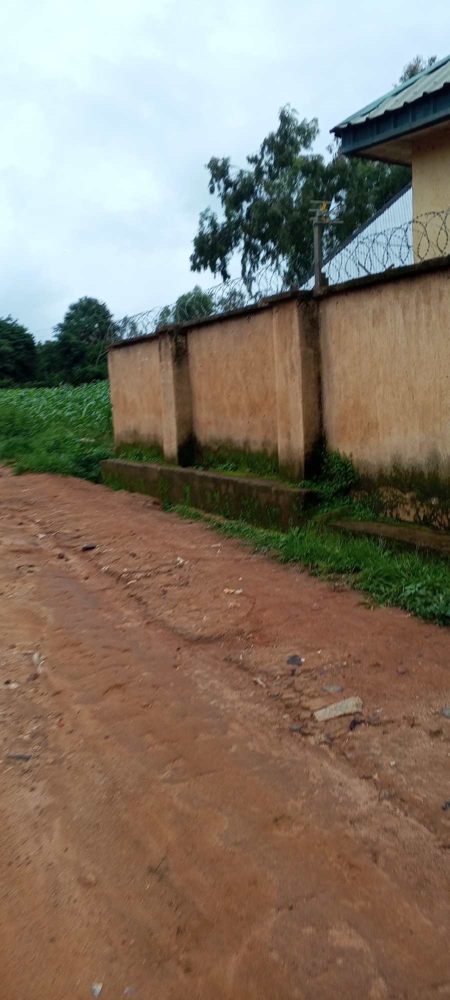 An outdoor, eye-level, vertical shot shows a dirt road in front of a tall, tan, stucco wall topped with barbed wire. To the left of the wall, a field of green crops stretches into the distance. Behind the wall and crops, lush green trees fill the horizon. A sliver of a building with a green roof is visible in the upper right corner. The sky is overcast and a dull gray. The scene appears to be located in Ohit, Nigeria.