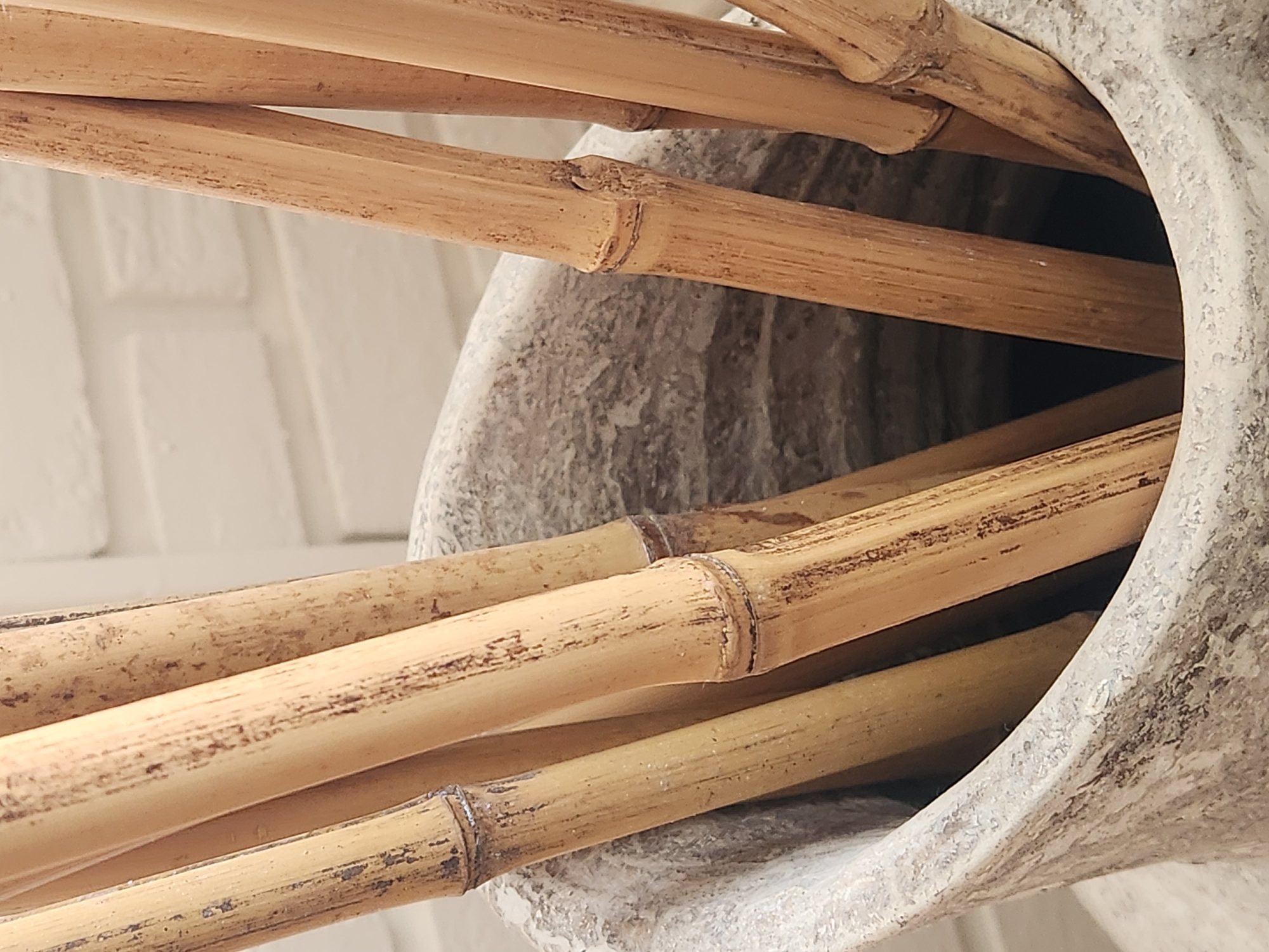The image is a close-up shot of several dried bamboo stalks in a rustic, textured ceramic vase. The vase has a mottled gray and white finish, with a rough, uneven surface. The bamboo stalks are light brown and yellow, with visible nodes and natural variations in color and texture, appearing aged and weathered. The background is out of focus, showing a textured white surface that resembles a brick wall. The lighting is soft, highlighting the natural textures of the bamboo and the vase. There are no people or animals visible in the image. The scene appears to be an indoor decorative arrangement, possibly in a home or a commercial space. The location of Maitland, United States of America is not visually evident from the image itself; this information is external to the visual content.