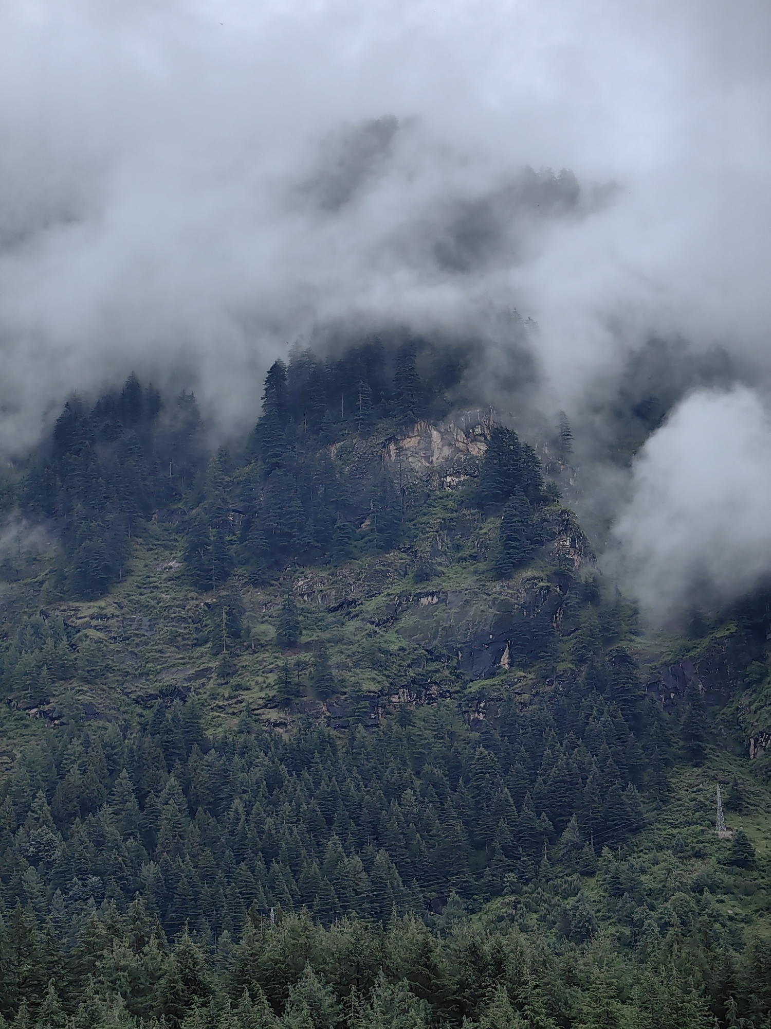 The image depicts a dense forest covering a steep mountainside, partially obscured by thick clouds. The trees are predominantly coniferous, with their dark green foliage creating a textured carpet up the slopes. Rocky outcrops and patches of earth are visible between the trees, suggesting a rugged terrain. The sky is overcast with large masses of fog or clouds that weave through the upper sections of the mountain, giving the scene an ethereal and somewhat mysterious atmosphere. In the lower right portion of the image, a tall, slender electrical pylon is visible, standing out against the natural landscape. The overall impression is one of a remote and wild natural environment, characteristic of mountainous regions in Siumsa, India.