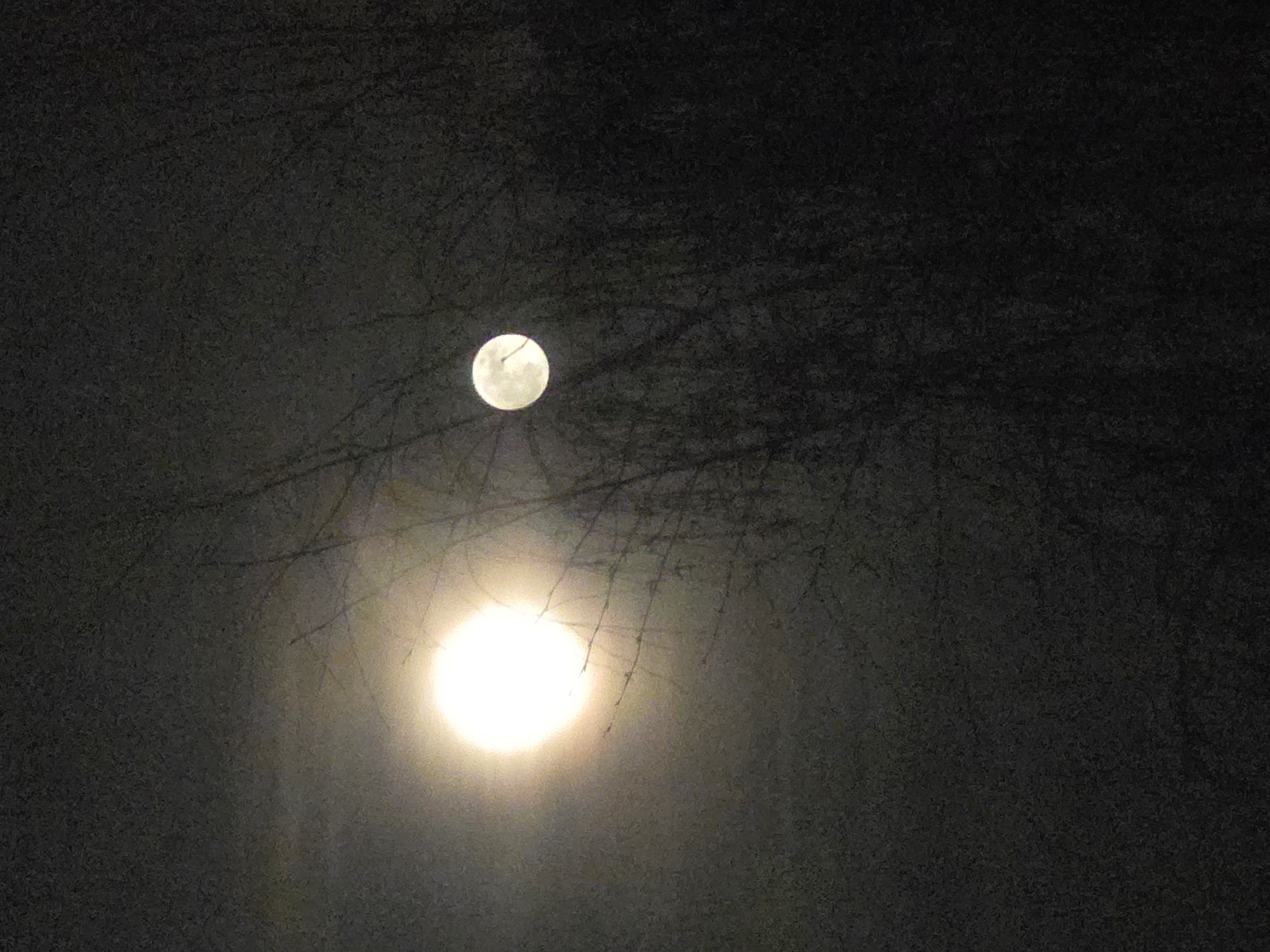 The image presents a nighttime scene in Chaikovsky, Russia. A bright moon is visible in the upper portion of the frame, partially obscured by the bare branches of a tree. Below the moon, a strong, diffused light source, presumably a street lamp, illuminates the area, creating a hazy effect. The background is a dark, blurred expanse, suggesting a cloudy or foggy night sky. There are no people visible in the image. The primary subjects are the moon, the light source, and the tree branches. The environment appears quiet and still.