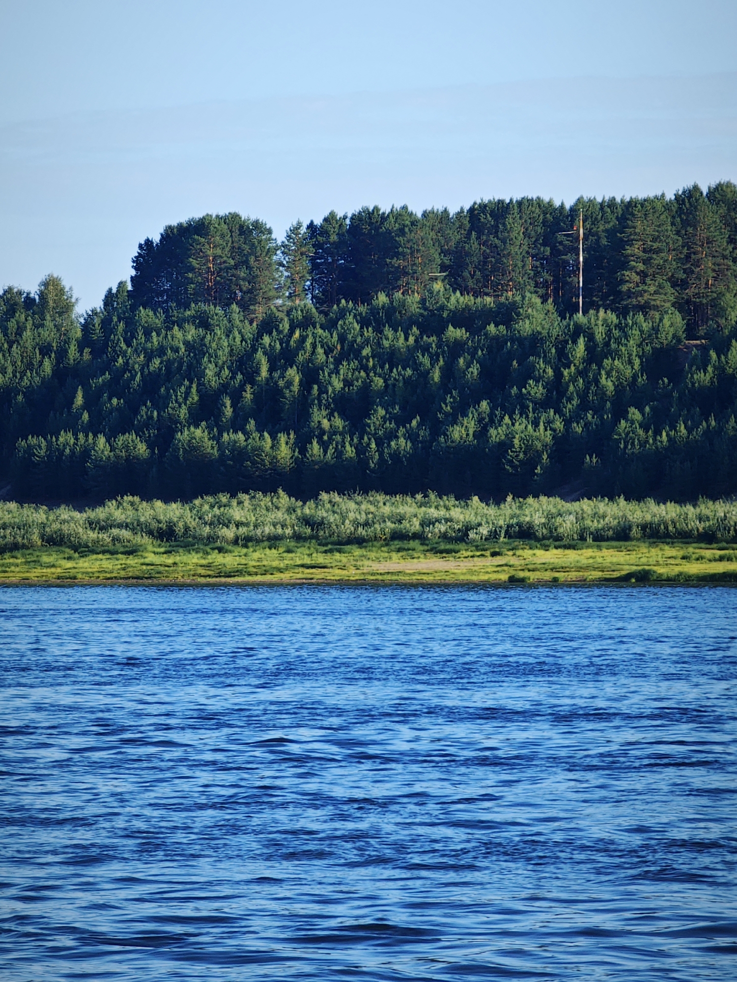 The image depicts a serene natural landscape. In the foreground, the blue water of a river or lake stretches across the frame, with gentle ripples on its surface. Beyond the water, a strip of lush green vegetation, possibly reeds or low bushes, lines the shore. Behind this green band, a dense forest of evergreen trees covers a hillside. The trees are predominantly coniferous, with varied shades of green indicating different species or lighting conditions. Towards the right side of the forest, a tall, thin pole with some banding is visible, possibly a marker or part of a structure. The sky above is a clear, pale blue, with a faint wispy cloud formation near the top.

This image is likely of the Volga River in the vicinity of Bor, Russia, a city known for its extensive forested areas and proximity to the river. The specific location within Bor would be along the riverfront, where the expansive forest meets the water.