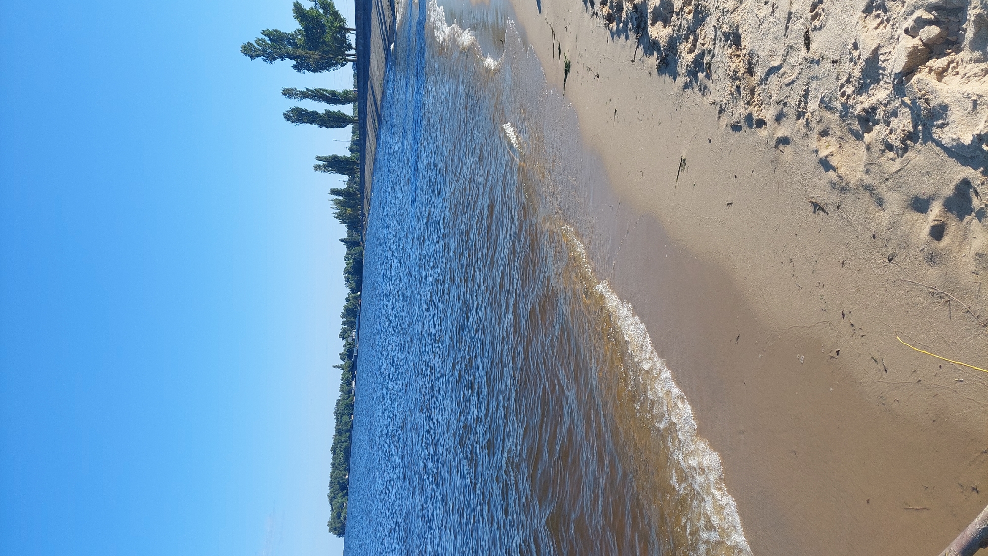 A tranquil scene unfolds at a sandy beach on a clear, sunny day. The calm, blue water of a large body of water, likely a reservoir or river, gently laps against the shore. The beach is composed of fine, light-colored sand with scattered debris, including a few pieces of seaweed and a thin yellow strand. Footprints are visible in the sand, suggesting recent human activity.

In the distance, a line of trees forms a green border along the far bank of the water. A concrete embankment runs parallel to the shoreline in the middle ground, with several tall, slender trees dotting the landscape along its edge. The sky above is a vast expanse of uninterrupted blue. This picturesque location is the beach area of Kozarovychi, Ukraine, a village situated in the Kyiv Oblast, known for its proximity to the Kyiv Reservoir.