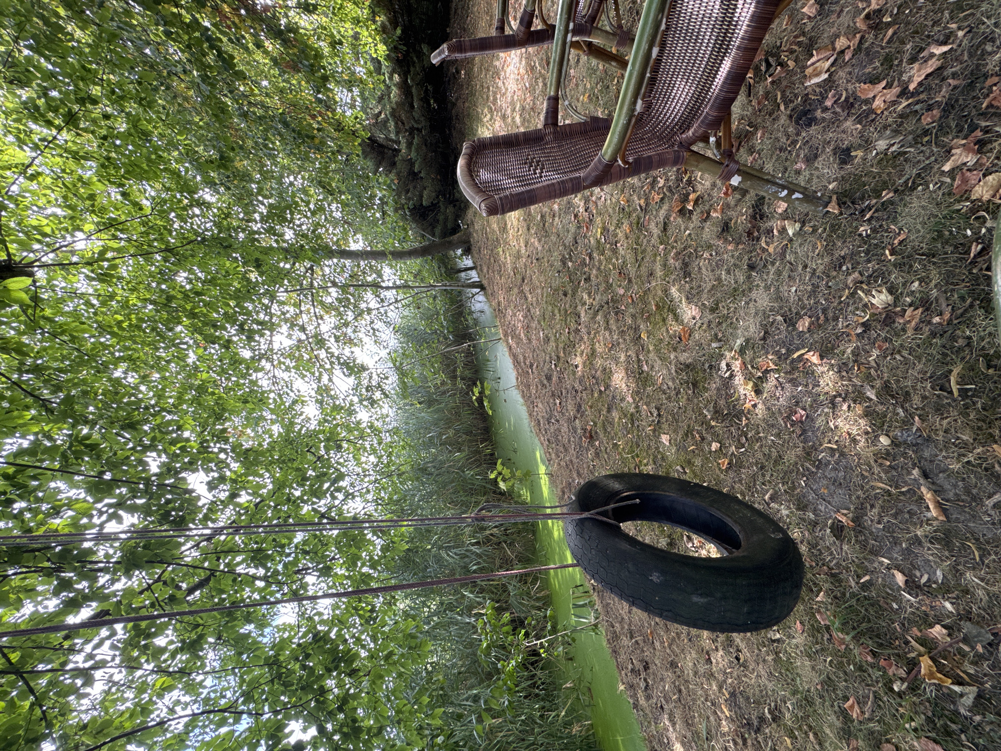 An outdoor scene depicts a tire swing hanging from a tree in Pingjum, Netherlands. The tire is black and worn, suspended by two ropes. The swing is positioned above dry, brown grass littered with fallen leaves. In the background, a narrow waterway is visible, covered with a thick layer of bright green algae. Tall reeds line the banks of the waterway. To the right of the frame, two wicker chairs with bamboo frames are partially visible, placed on the grassy ground. Lush green trees and foliage form a canopy overhead, with sunlight filtering through the leaves. The scene appears to be set in a natural, somewhat overgrown environment.