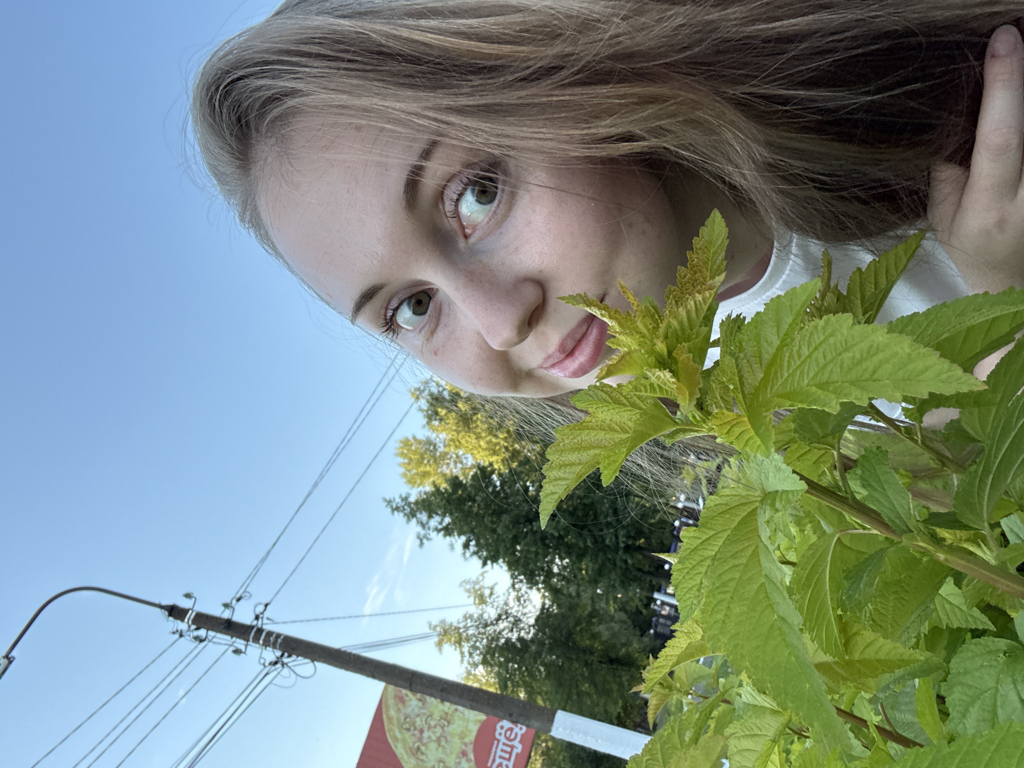 A young woman with long, blonde hair is positioned on the right side of the frame, looking towards the camera with wide, green eyes. She has fair skin with freckles across her nose and cheeks, and is wearing a white t-shirt. A branch with vibrant green leaves partially obscures her face from the left. In the background, a utility pole with multiple wires stands against a clear blue sky. To the left of the pole, a red and white billboard with text and an image of a pizza is visible. Trees and other foliage can be seen further in the background. The scene appears to be outdoors, possibly in a park or along a street.