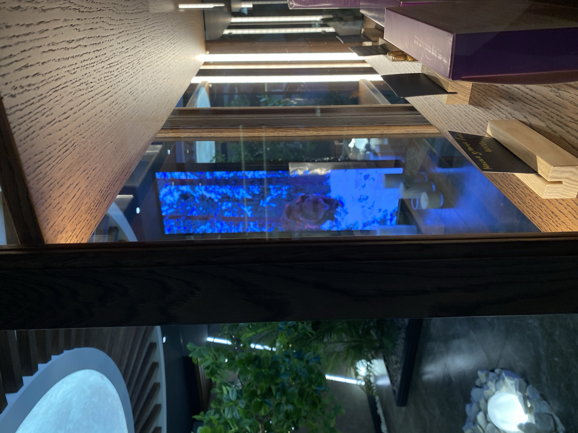 The image presents an abstract, fragmented view of an interior, possibly in Votkinsk, Russia. A wooden shelf with light fixtures above dominates the upper portion of the frame, partially obscuring a lower level with plant life and a circular light feature. A blue, illuminated screen or display can be seen through the shelving structure. Books, price labels, and decorative objects are scattered on the shelves. The perspective suggests the image was taken from a low angle, looking upwards.