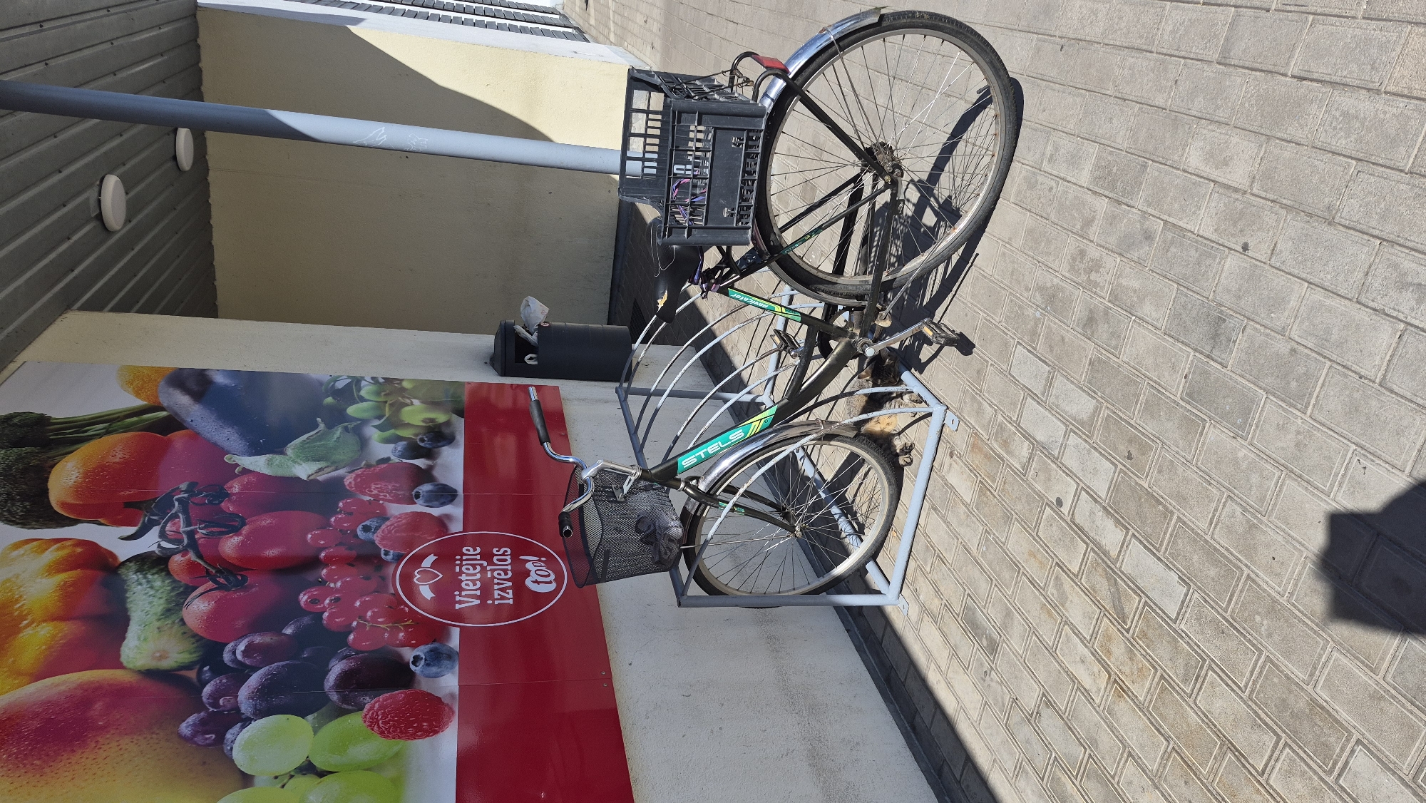 In Dagda, Latvia, at the entrance of a shop with a large advertisement featuring fresh produce, a cat is sleeping under a bicycle. The bicycle, equipped with a front basket and a rear crate, is parked in a metal rack. The pavement is made of interlocking concrete pavers, and the scene is bathed in sunlight, casting shadows. A dark gray trash can is visible to the right of the bicycle.