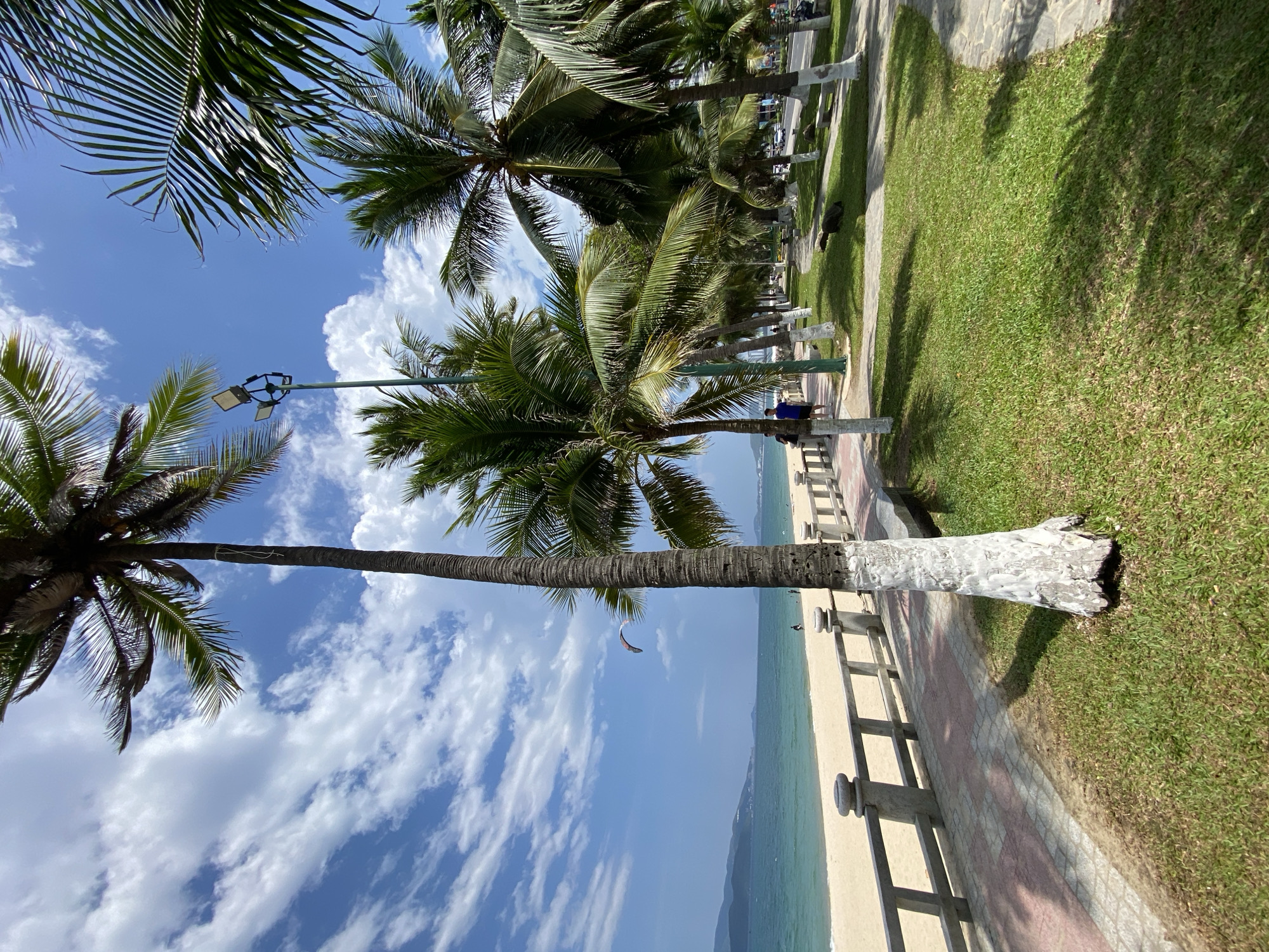 The image captures a sun-drenched beachside promenade in Nha Trang, Vietnam. In the foreground, a large palm tree with its trunk painted white stands prominently, casting dappled shadows on the neatly manicured green grass. To the left, a paved walkway with a patterned surface runs parallel to a low concrete barrier topped with decorative stone elements, separating it from the sandy beach. The beach itself is wide and golden, meeting the turquoise waters of the ocean. Several small figures are visible on the beach and in the water, suggesting a leisurely day.
Beyond the beach, a calm sea stretches towards a distant, hazy coastline with rolling hills. A kite, possibly for kiteboarding, is visible in the sky above the water. Lining the promenade are more palm trees, their fronds creating a lush canopy. A lamppost with multiple lights is positioned among the trees. Further back, a road with light traffic, including a few motorcycles, is visible, indicating an urban setting adjacent to the beach. The sky is a brilliant blue, dotted with fluffy white clouds. The overall impression is one of a tropical, vibrant coastal city.