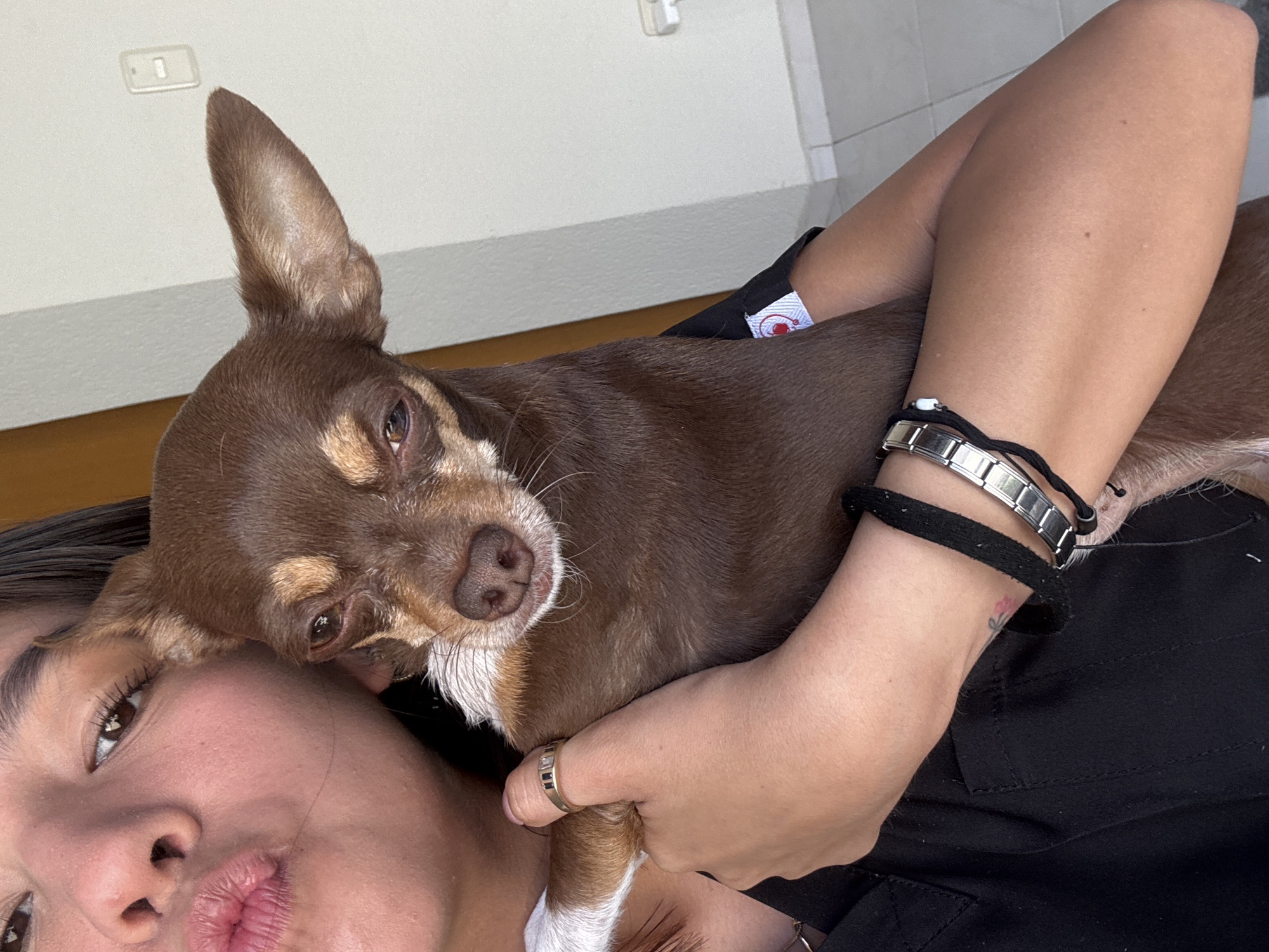 A woman is lying down, holding a brown chihuahua close to her face. The dog is resting on her arm and chest. The woman has dark hair, fair skin, and is wearing a black shirt. She has bracelets on her left wrist and a ring on her finger. The background is a plain white wall, with a glimpse of flooring in a light shade. The location is Puebla, Mexico.