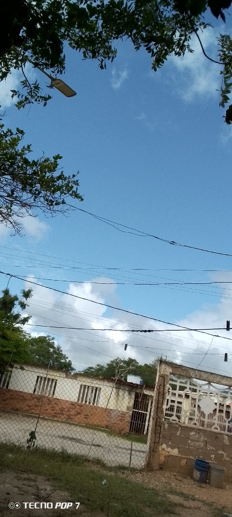 The image captures a scene looking upwards towards a clear blue sky with scattered white clouds, partially obscured by the dark green foliage of trees in the foreground. Several electrical wires crisscross the sky. Below the sky, a low-rise building with a tiled roof and brick and white painted walls is visible, featuring barred windows and a metal gate. A chain-link fence runs across the lower portion of the image, in front of the building. To the right of the building, a section of a wall constructed with concrete blocks and a decorative patterned concrete section is present. Two buckets, one blue and one grey, are situated on the ground next to this wall. The ground in front of the fence is covered with green grass and some patches of dirt. The bottom left corner of the image displays the text "TECNO POP 7". This scene appears to be an outdoor residential or semi-residential area, possibly in Altagracia, Venezuela, given the context.