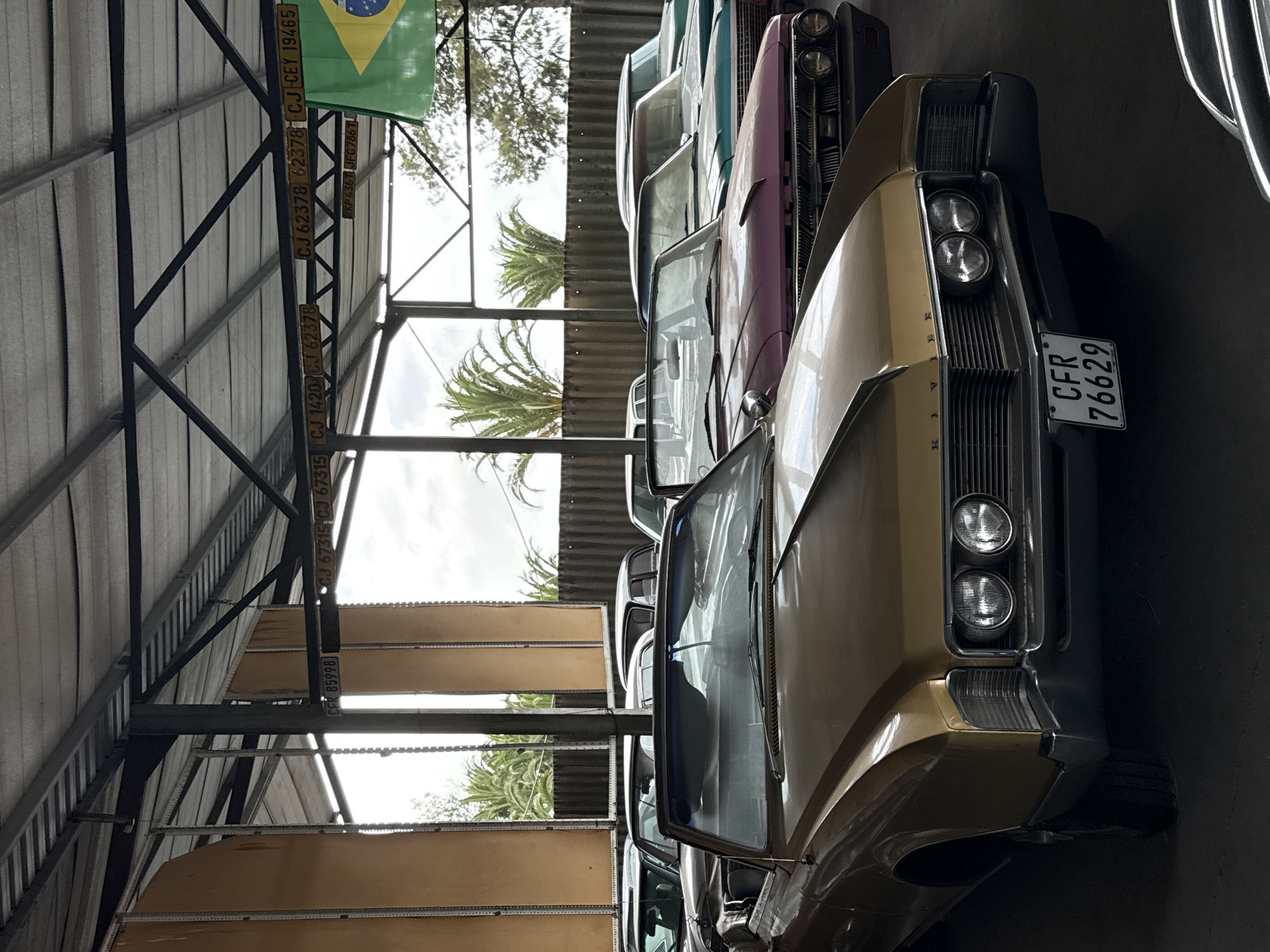 The image shows a collection of vintage cars parked indoors, possibly in a storage facility in Kraaifontein, South Africa. The cars vary in color, including gold, pink, light blue, and white. The cars are parked close together, with the front of a gold car dominating the foreground. The license plate "CFR 76629" is visible on the front of the gold car. Above the cars, the structure of the building's roof is visible, along with several license plates and a Brazil flag hanging from the ceiling. Palm trees can be seen through the building's open side. There are no people visible in the image.