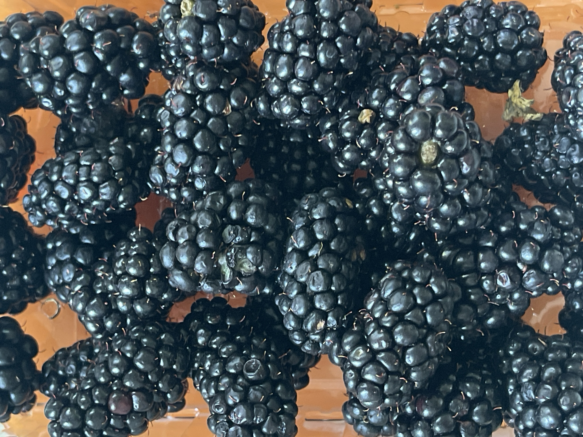 This is a close-up, overhead shot of a pile of ripe blackberries. The blackberries are dark purple to black, with individual drupelets clearly visible, giving them a textured, bumpy appearance. Some of the berries have small, fine hairs, and a few have remnants of their stems or calyxes. The lighting suggests an indoor setting, possibly a kitchen or pantry, with a warm, soft light illuminating the fruit. The background appears to be a light brown, possibly a wooden surface or a plastic container. There is no visible text in the image. The focus is entirely on the abundance and detail of the blackberries, suggesting they are ready to be eaten or used in a recipe. The image is vibrant and showcases the natural beauty of the fruit.