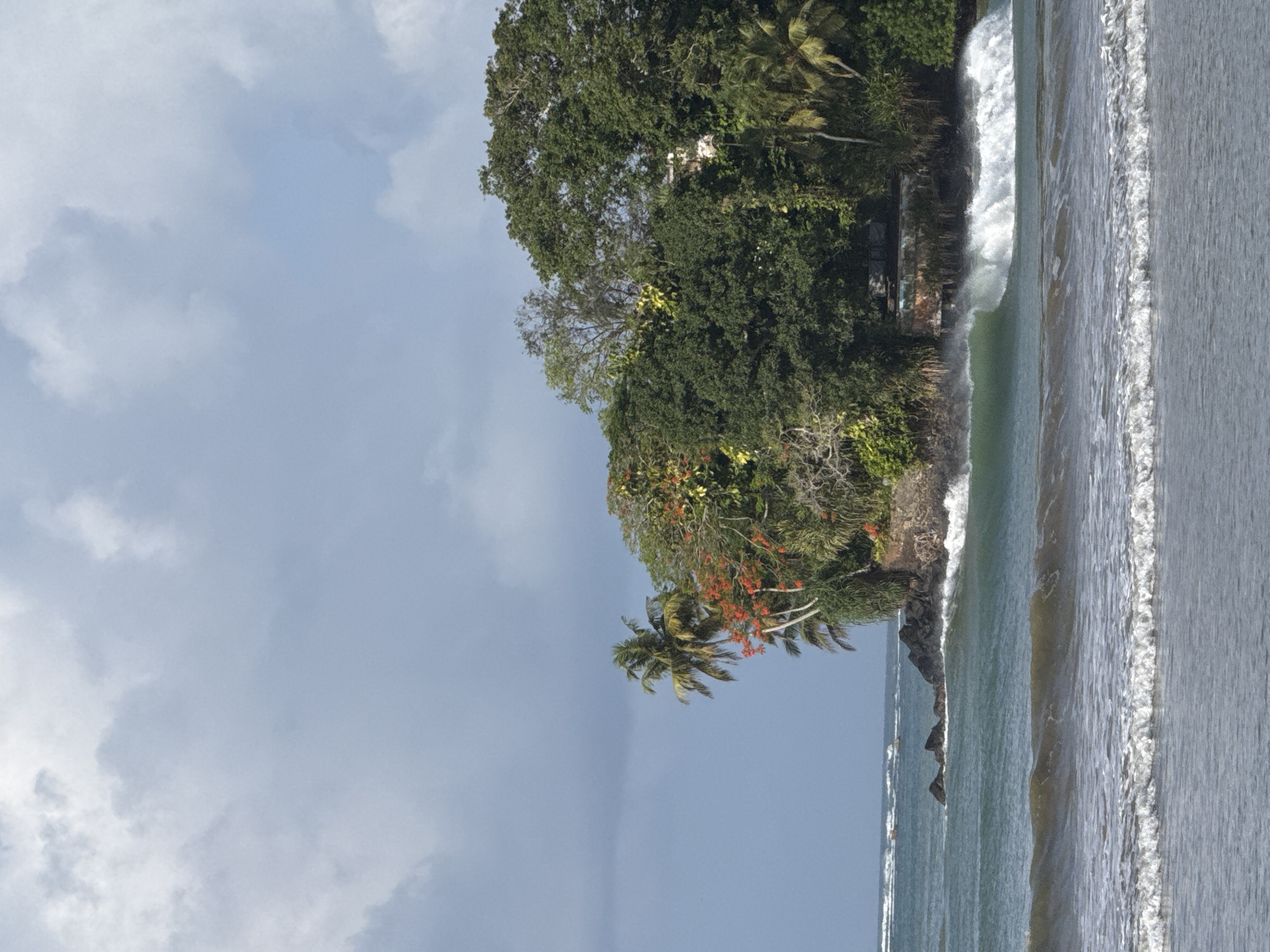 The image depicts a tropical coastline in Weligama, Sri Lanka, under a cloudy sky. In the foreground, ocean waves are breaking, with a prominent wave curling and foaming. The middle ground features a rocky outcrop jutting into the sea, covered in lush green vegetation and palm trees. Bright red flowers are visible amongst the trees. Further inland, a dense forest of trees covers the land, and hints of man-made structures, possibly buildings, can be seen nestled within the foliage. Several small boats are visible on the horizon in the distance. The overall scene conveys a natural, tropical environment with the presence of the ocean and abundant greenery.