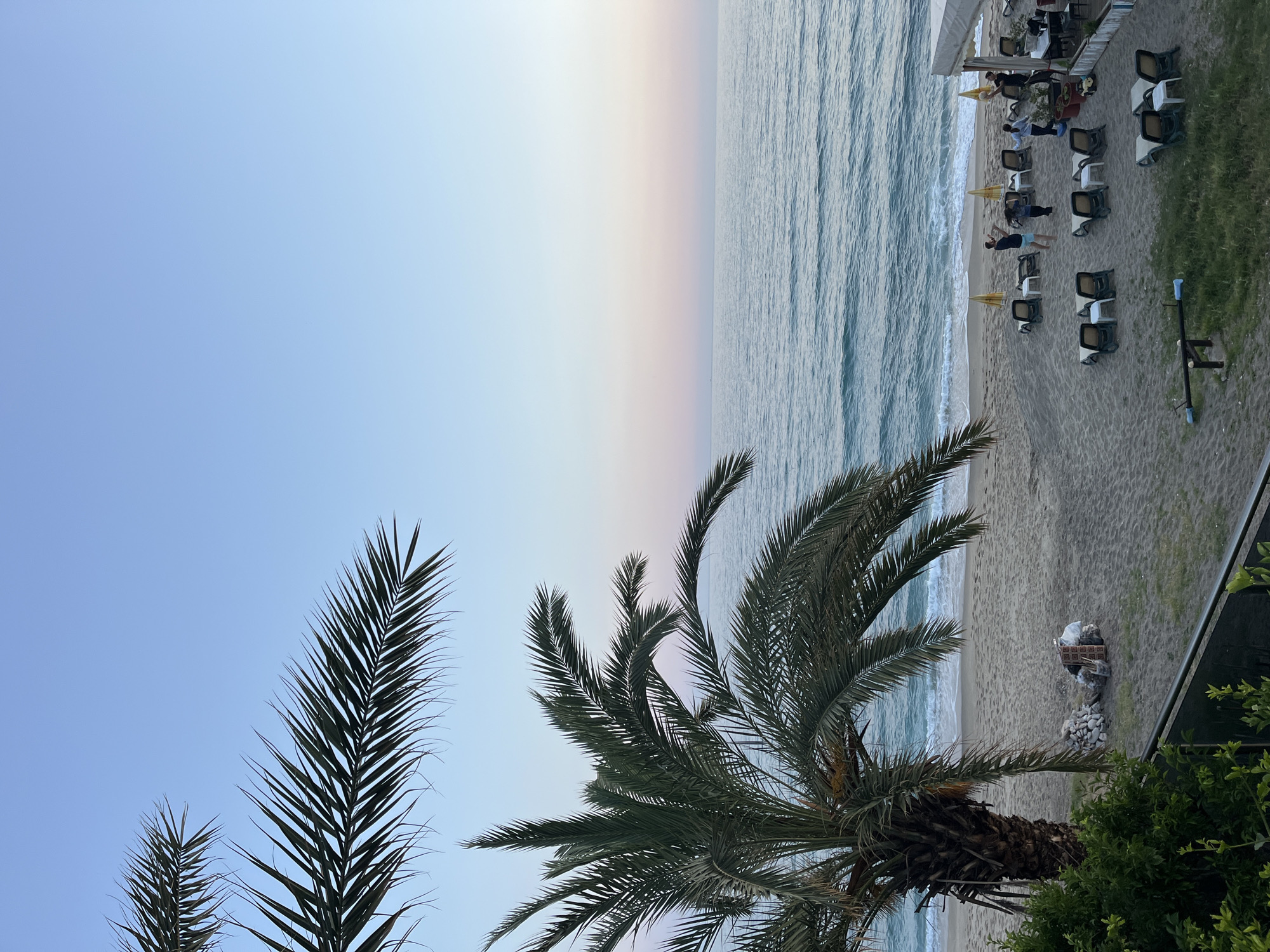 The image captures a beach scene in Alanya, Turkey, oriented at an unusual angle. The sky transitions from light blue to a pale pinkish-orange hue near the horizon, suggesting either sunrise or sunset. The sea is visible with gentle waves rolling onto the sandy beach.
On the right side of the image, part of a beach area is seen, with sun loungers, chairs, and people under a shaded area. Several individuals are lying down on the loungers.
Palm trees are in the foreground, with their fronds obscuring parts of the sky and beach. The composition suggests the image was taken from an elevated perspective, possibly from a hotel balcony. Trash and items are near the bushes at the lower right of the scene.