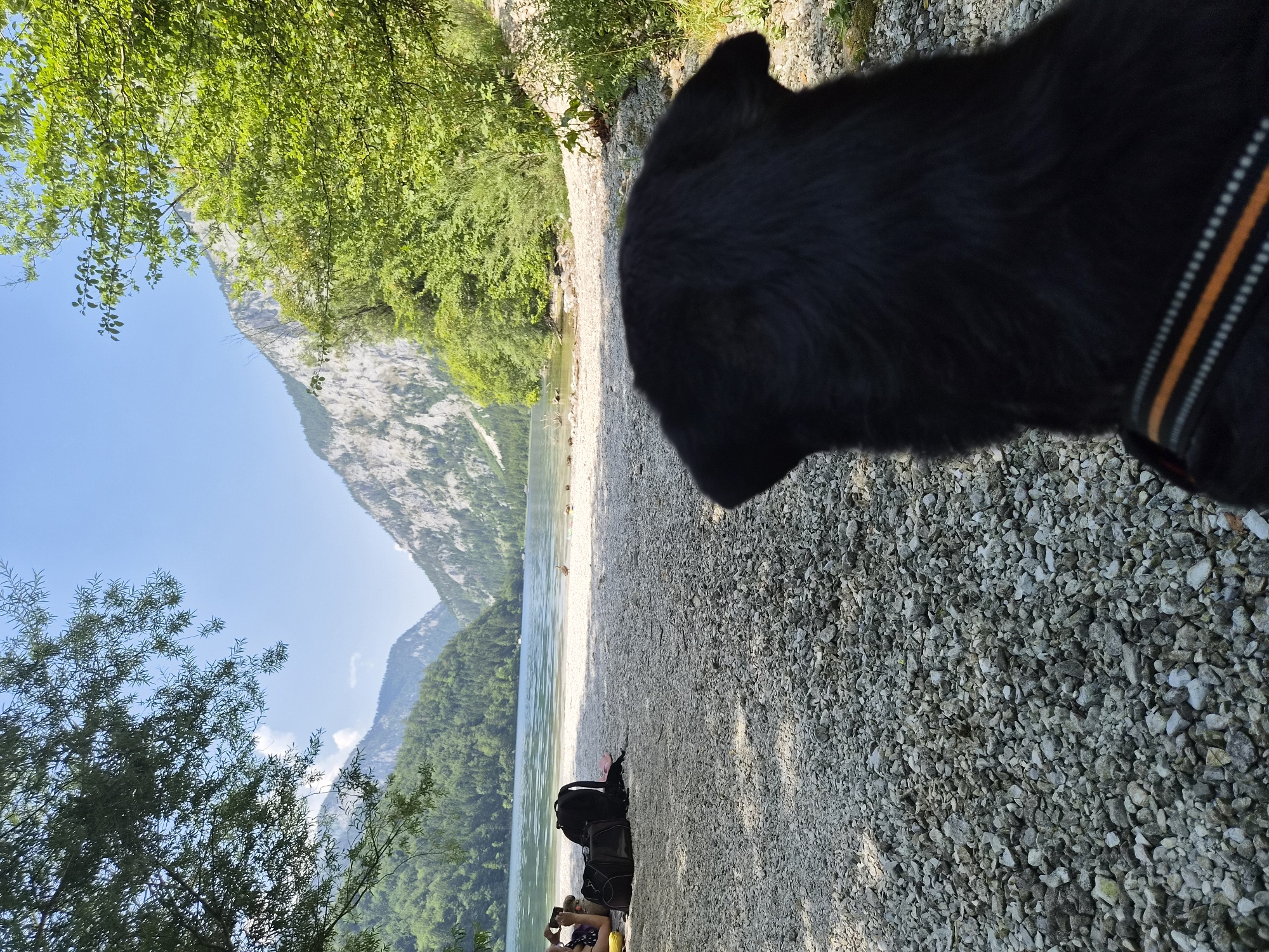 The image depicts a scenic view of a lake and mountains, likely at Leopoldsteinsee in Eisenerz, Austria. In the foreground, the back of a black dog is visible, facing the lake. The ground is covered with small grey and white pebbles. To the left, a person is lying on a yellow mat, with a black backpack and a smaller black bag nearby on the pebble shore. The lake is calm, reflecting the clear blue sky and the surrounding lush green mountains. The mountains have rocky, lighter-colored peaks. The scene is bathed in bright sunlight, casting shadows on the pebble beach.