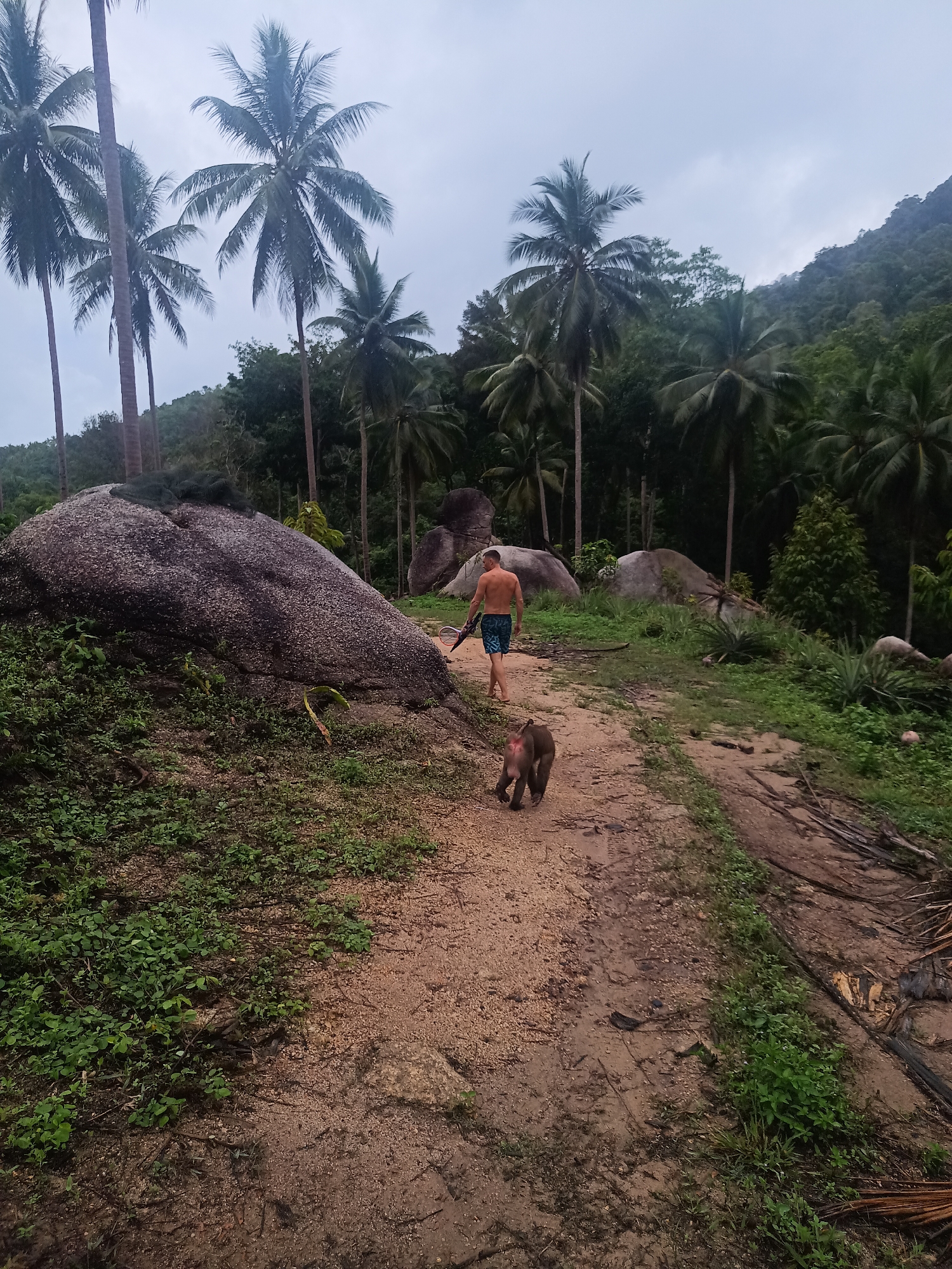 A man wearing blue patterned swim trunks walks away from the viewer on a sandy path in Baan Thong Nang, Thailand. He carries a dark object, possibly a bag, over his shoulder. A monkey follows closely behind the man. Large rocks are visible to the left of the path, covered in greenery. Palm trees and tropical foliage surround the path. The sky is overcast.