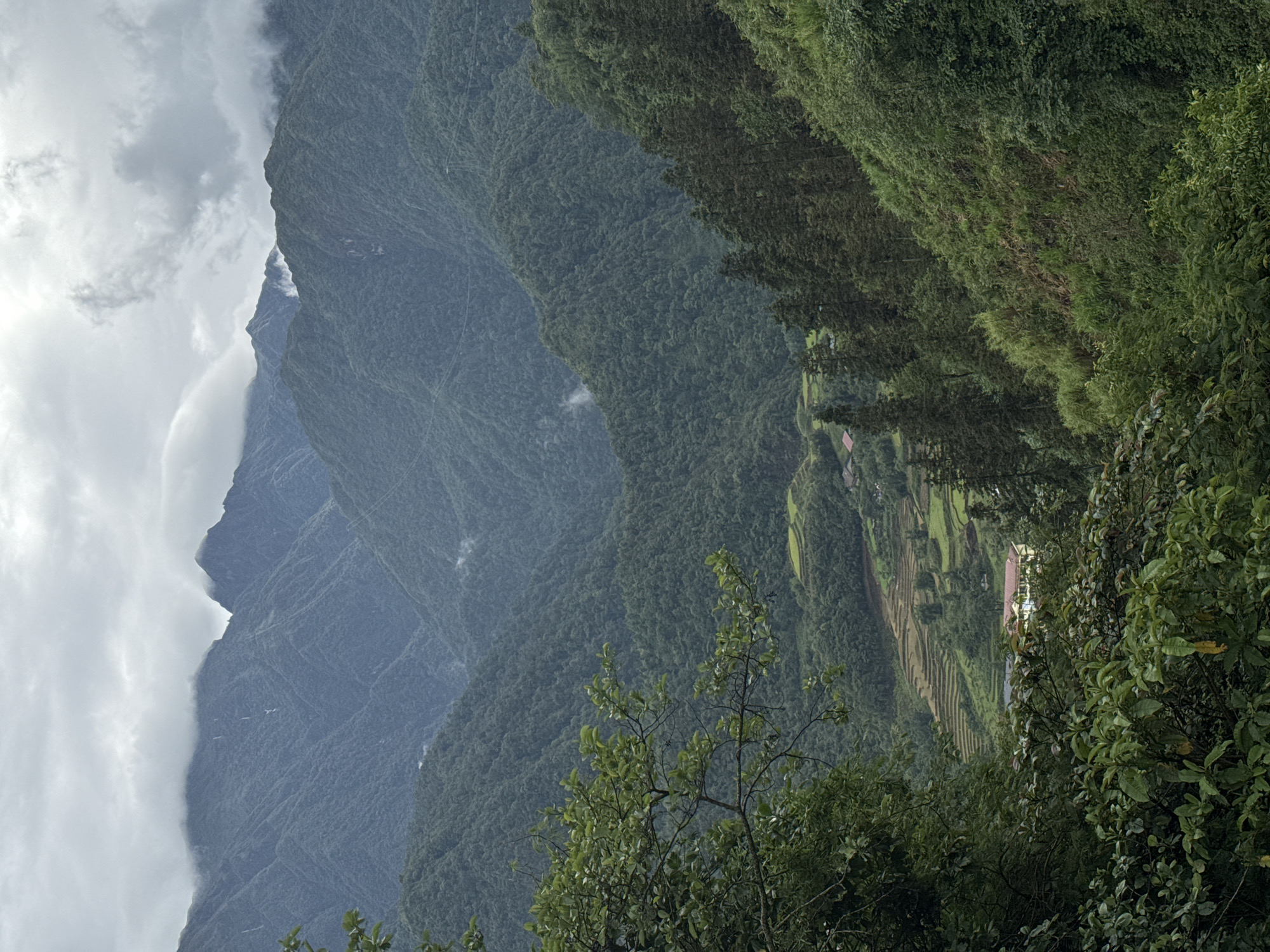 The image depicts a mountainous landscape, possibly near Cat Cat Village, Vietnam. There are multiple layers of mountains receding into the distance, covered in dense green vegetation. The leftmost mountain peak is partially obscured by clouds. Terraced fields are visible on the mountainside on the right. In the foreground, there are trees and foliage partially obscuring the view.