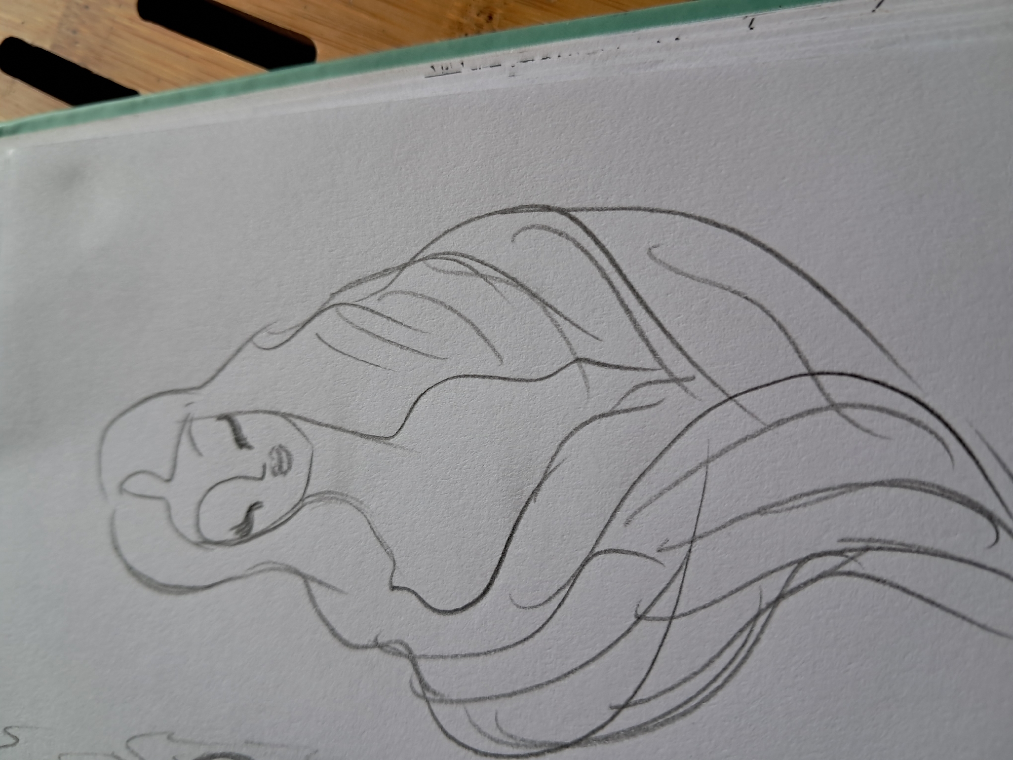 A pencil sketch of a woman is shown on a piece of paper. The woman has long, wavy hair that drapes around her body. Her eyes are closed, and her lips are pursed. She appears to be wearing a robe or a shawl that is wrapped around her. The sketch is done in a simple, line-art style. The background is a plain white surface.
